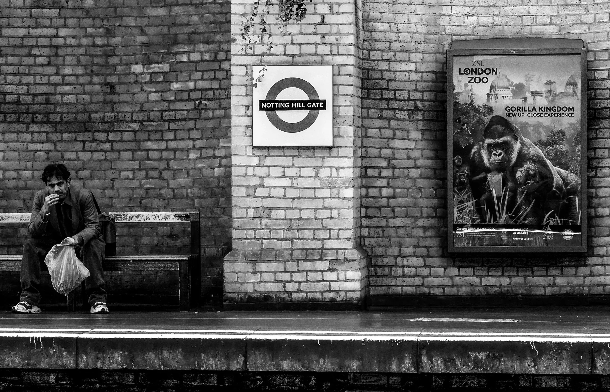 Man eating alone on a platform bench at Notting Hill Gate underground station, London Zoo Gorilla Kingdom poster beside him, aged brick wall behind
