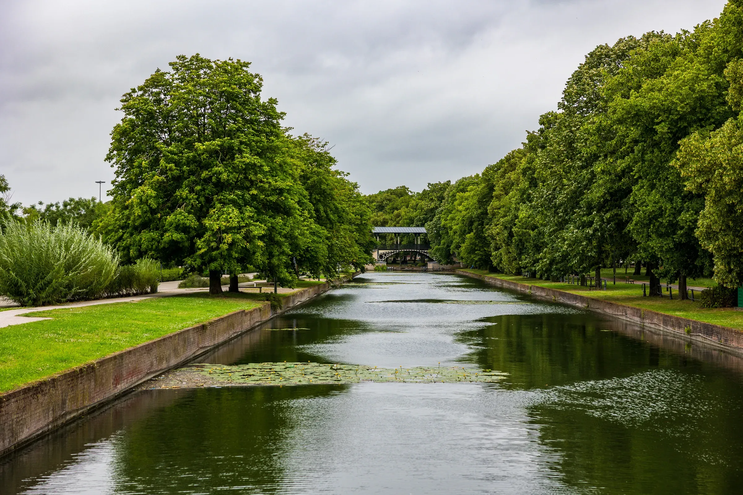 Tree-lined canal with lily pads on still water under an overcast sky, Lille