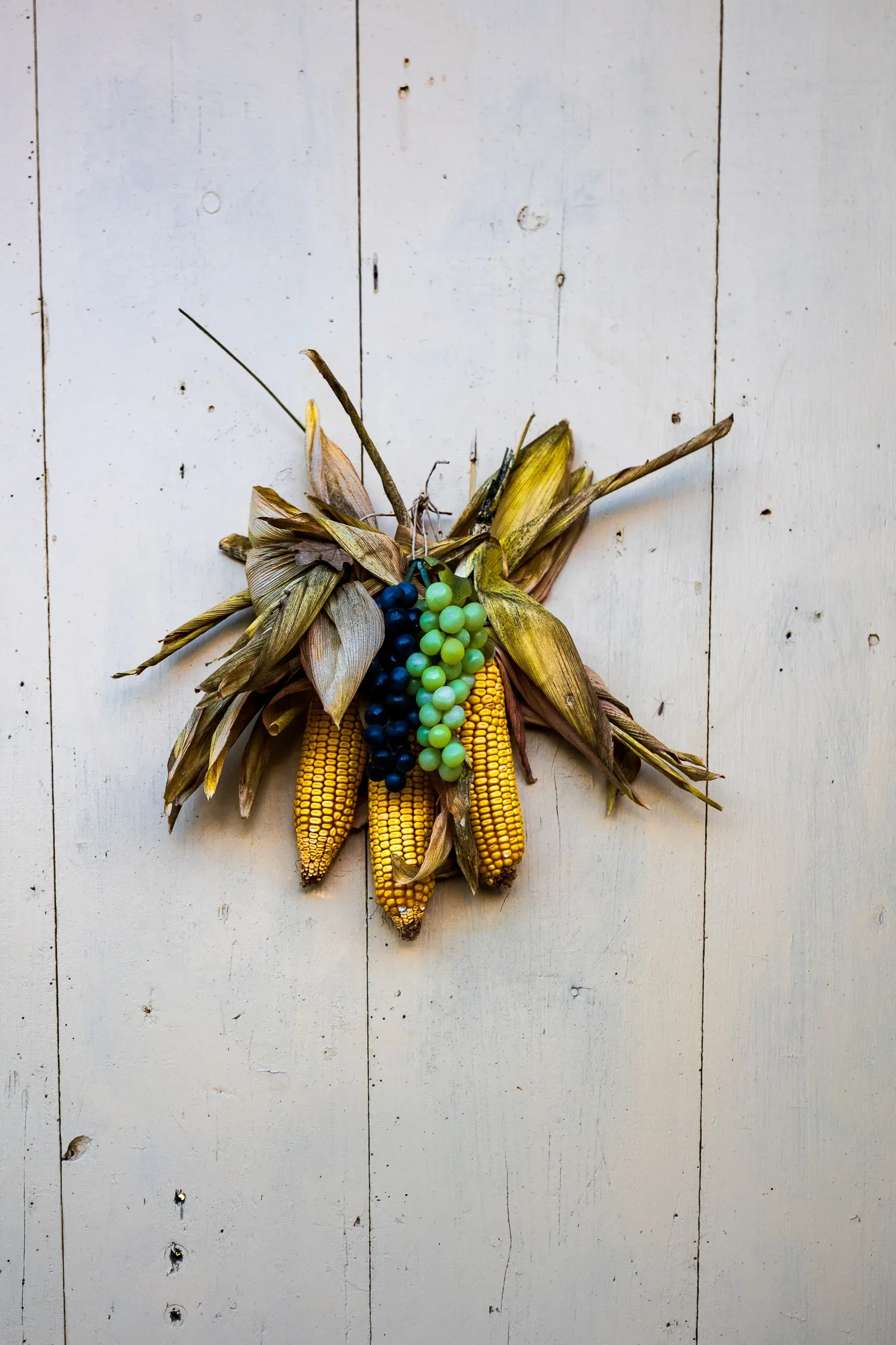 Dried corn cobs and clusters of blue and green grapes hung as a harvest decoration on a weathered white wooden wall