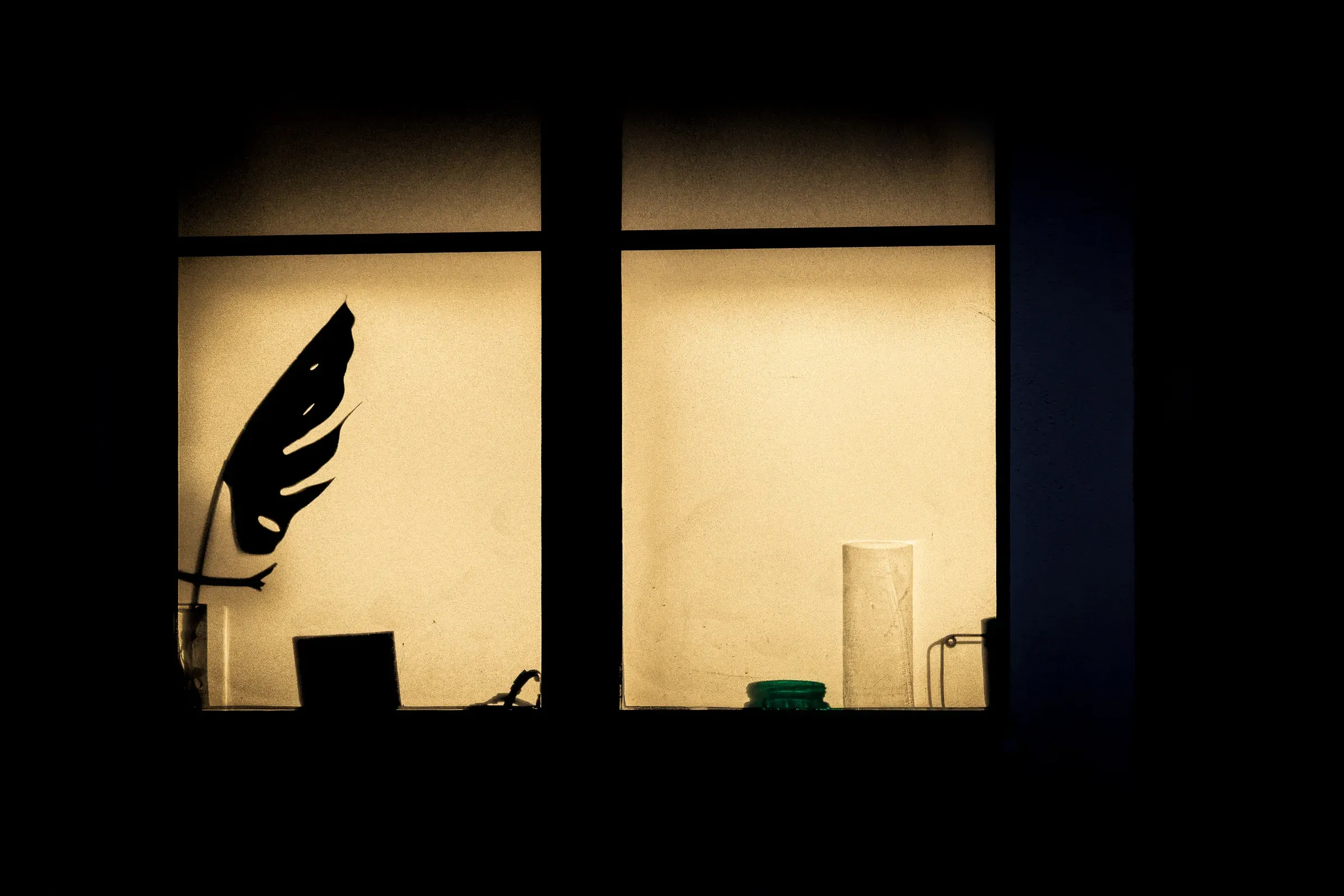 A warmly lit apartment window at night, a monstera leaf silhouetted against the golden glow inside