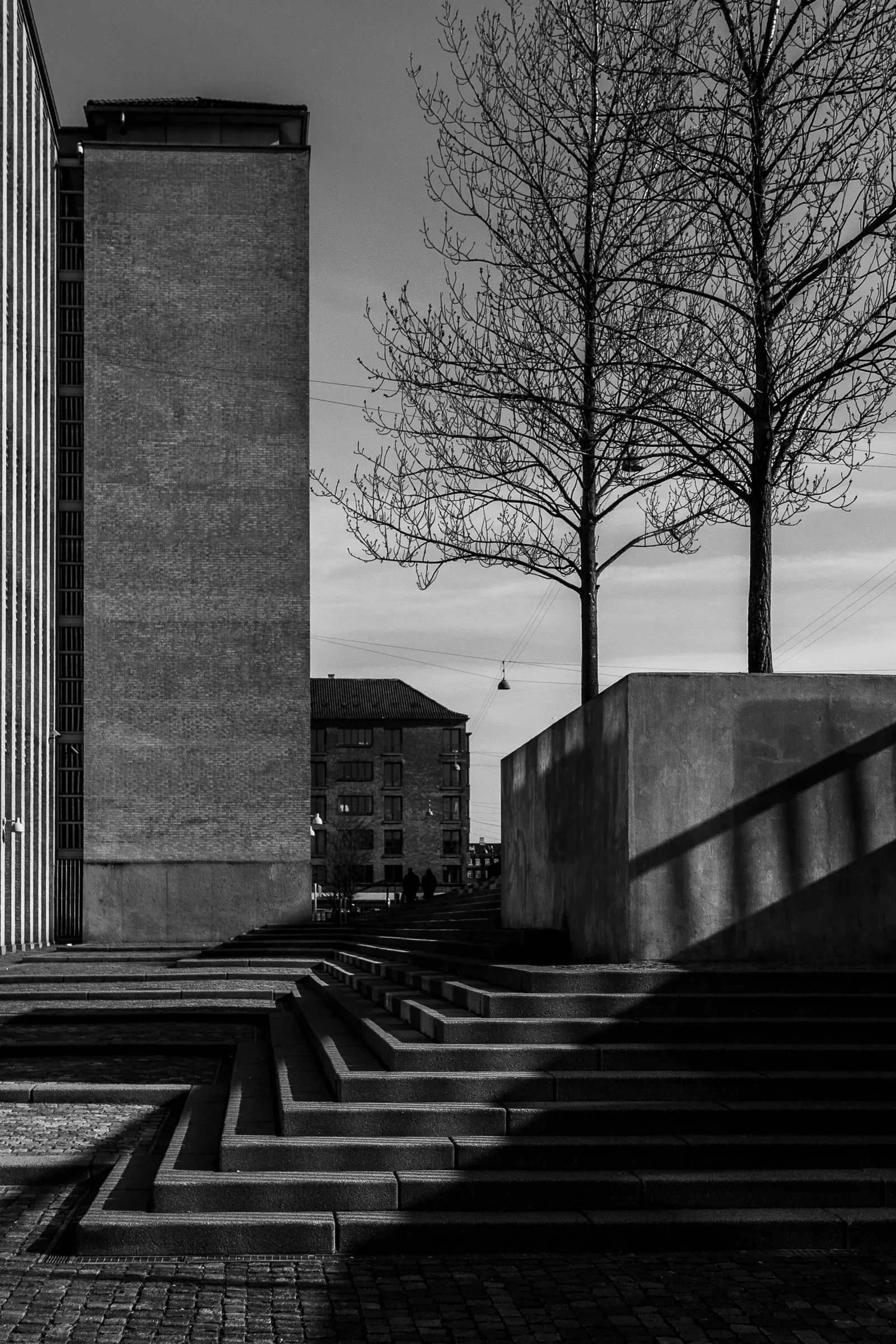 Black and white photo of concrete steps and bare trees in an urban plaza