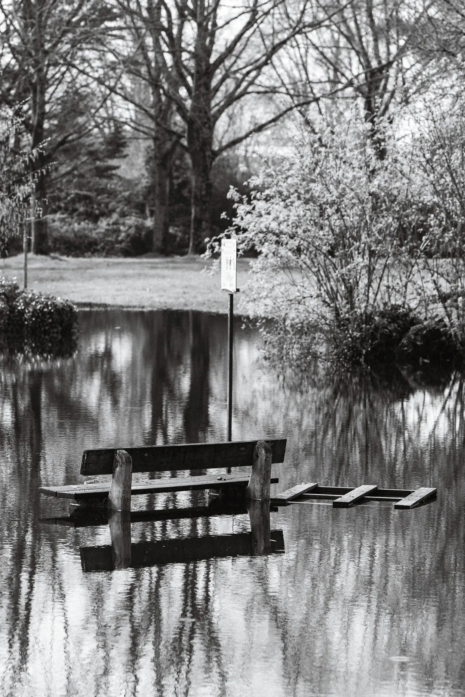 Black and white — a park bench half-submerged in flood water, bare trees and their reflections, overcast sky