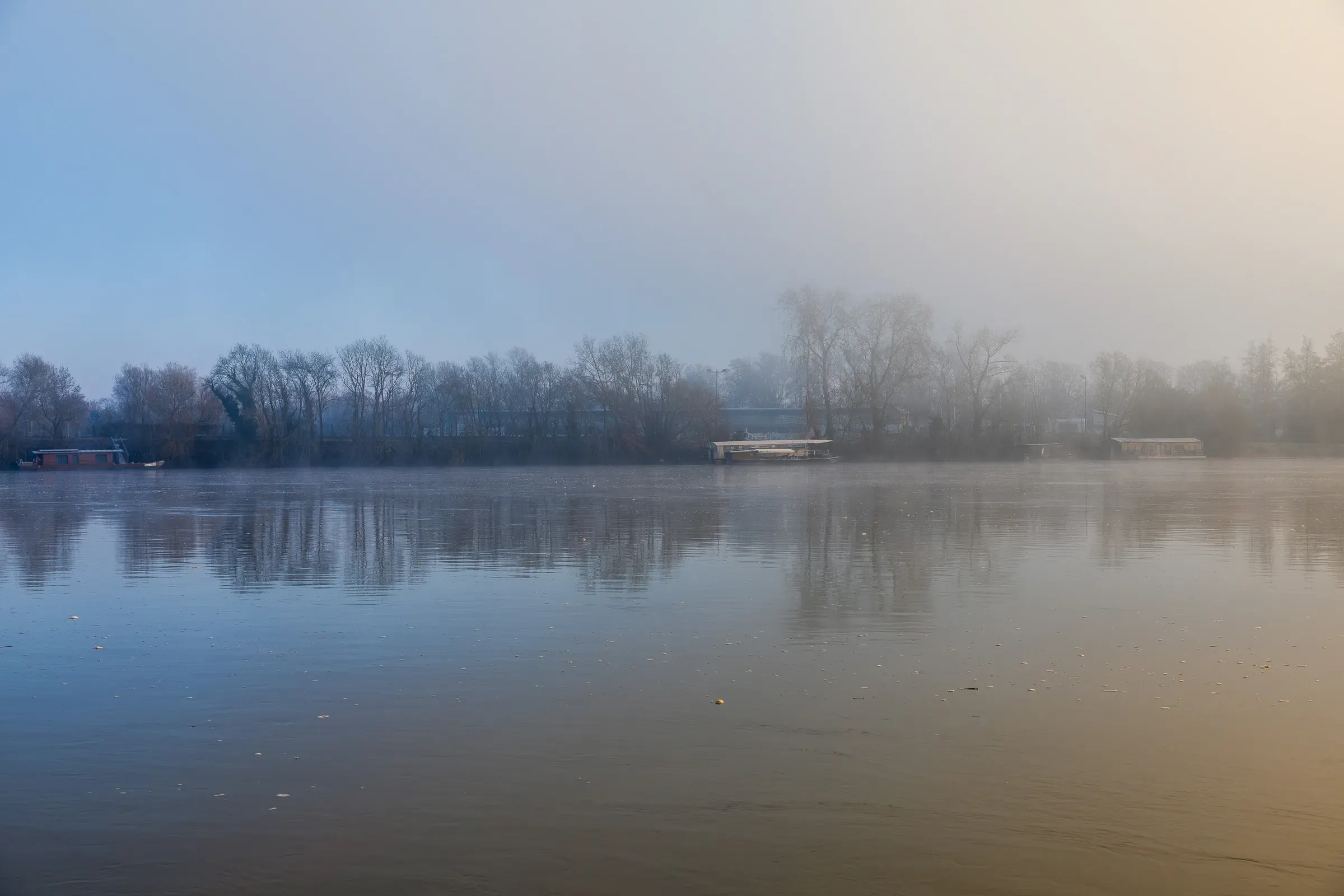 Bare winter trees mirrored in the flat grey-blue Loire, morning mist dissolving the far bank, Saumur