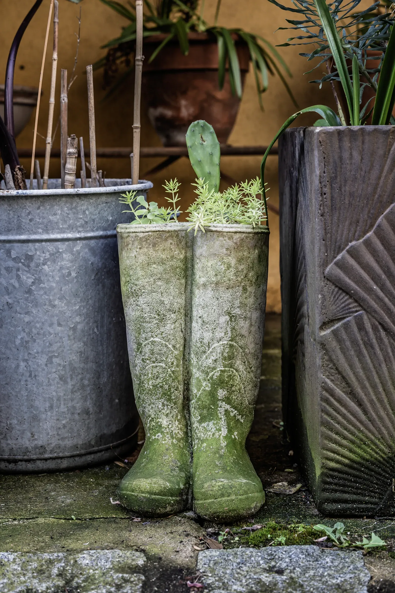 A pair of moss-covered wellington boots repurposed as plant pots with succulents, surrounded by other pots on cobblestones