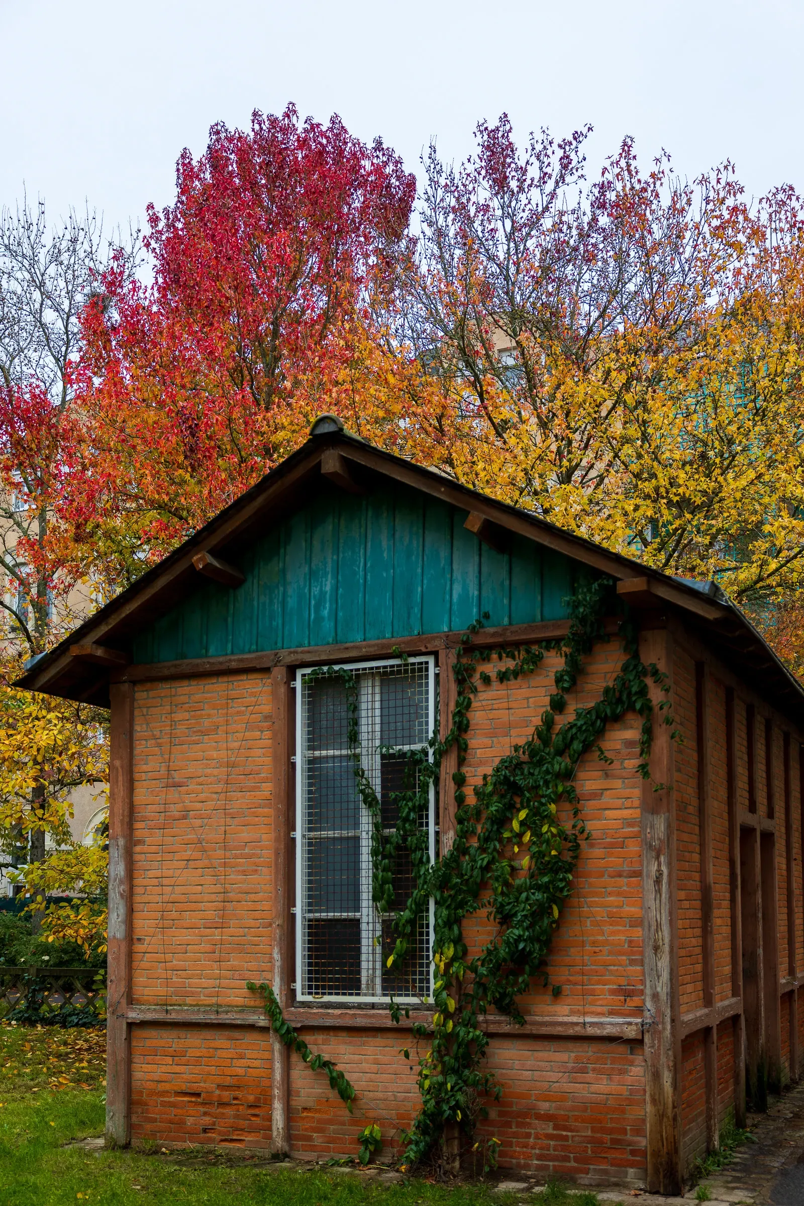 Small red brick outbuilding covered in ivy, framed by red and yellow autumn trees in a park