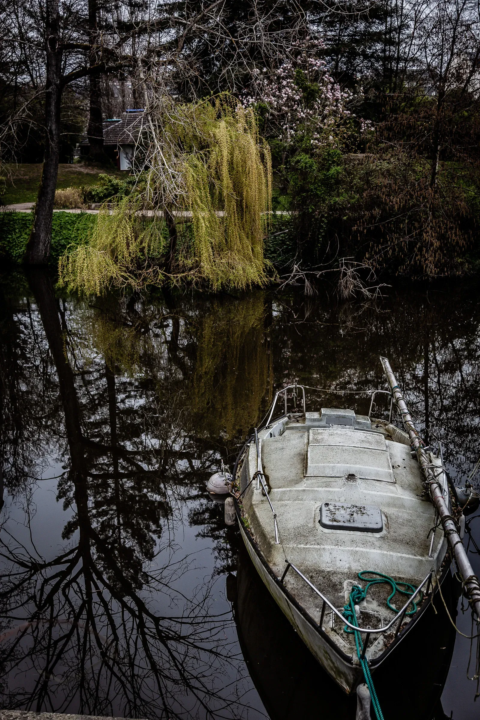 Bow of a weathered motorboat at a dock, a weeping willow with fresh spring leaves reflected in the dark still water