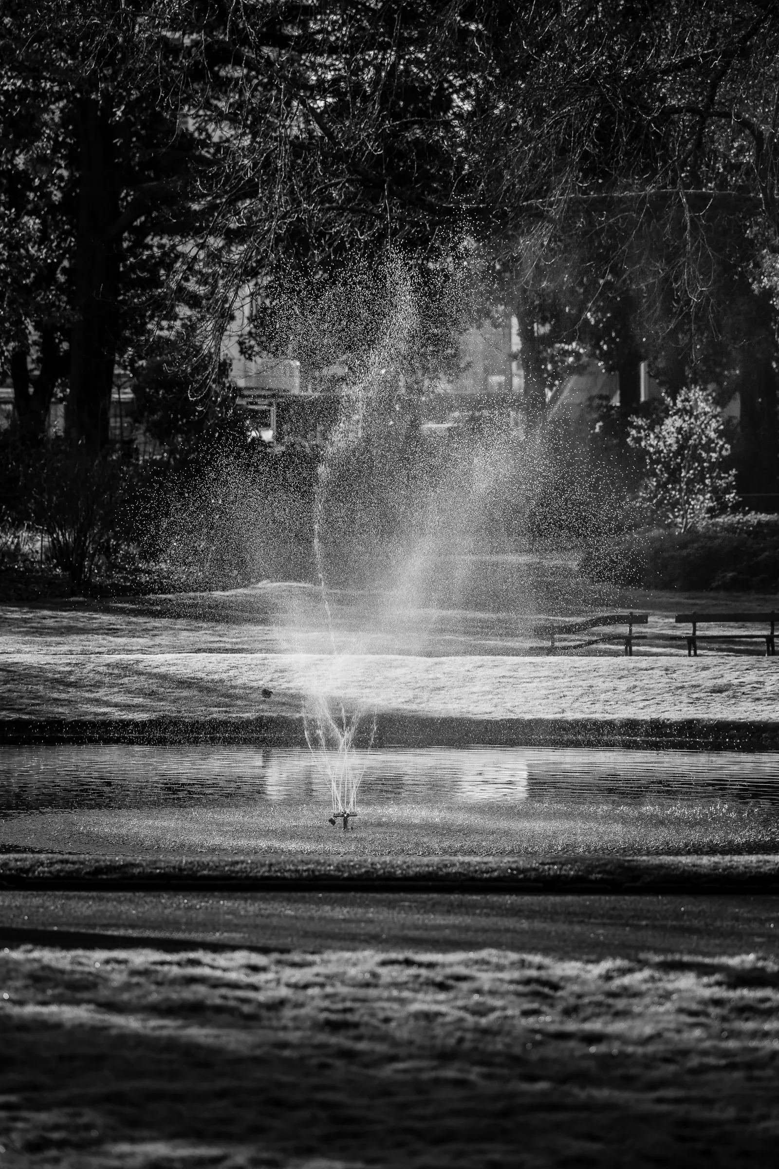 Black and white — a fountain jet catching bright light in a park, bare trees silhouetted around it, Nantes