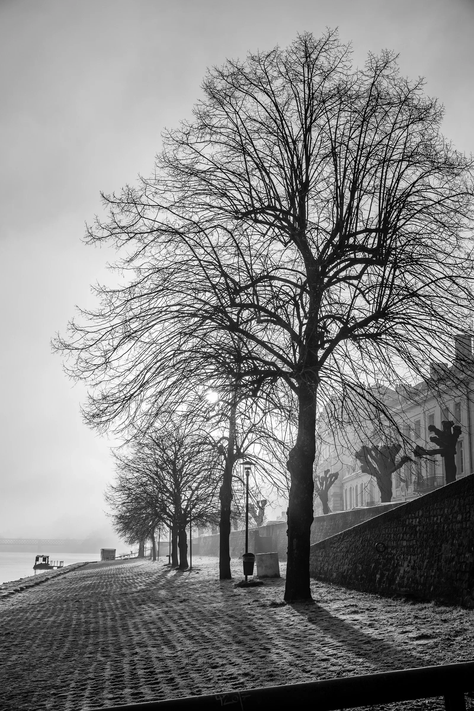 Black and white — bare winter trees lining a cobblestone riverside promenade in fog, lone figure in the distance, stone retaining wall to the right, Saumur