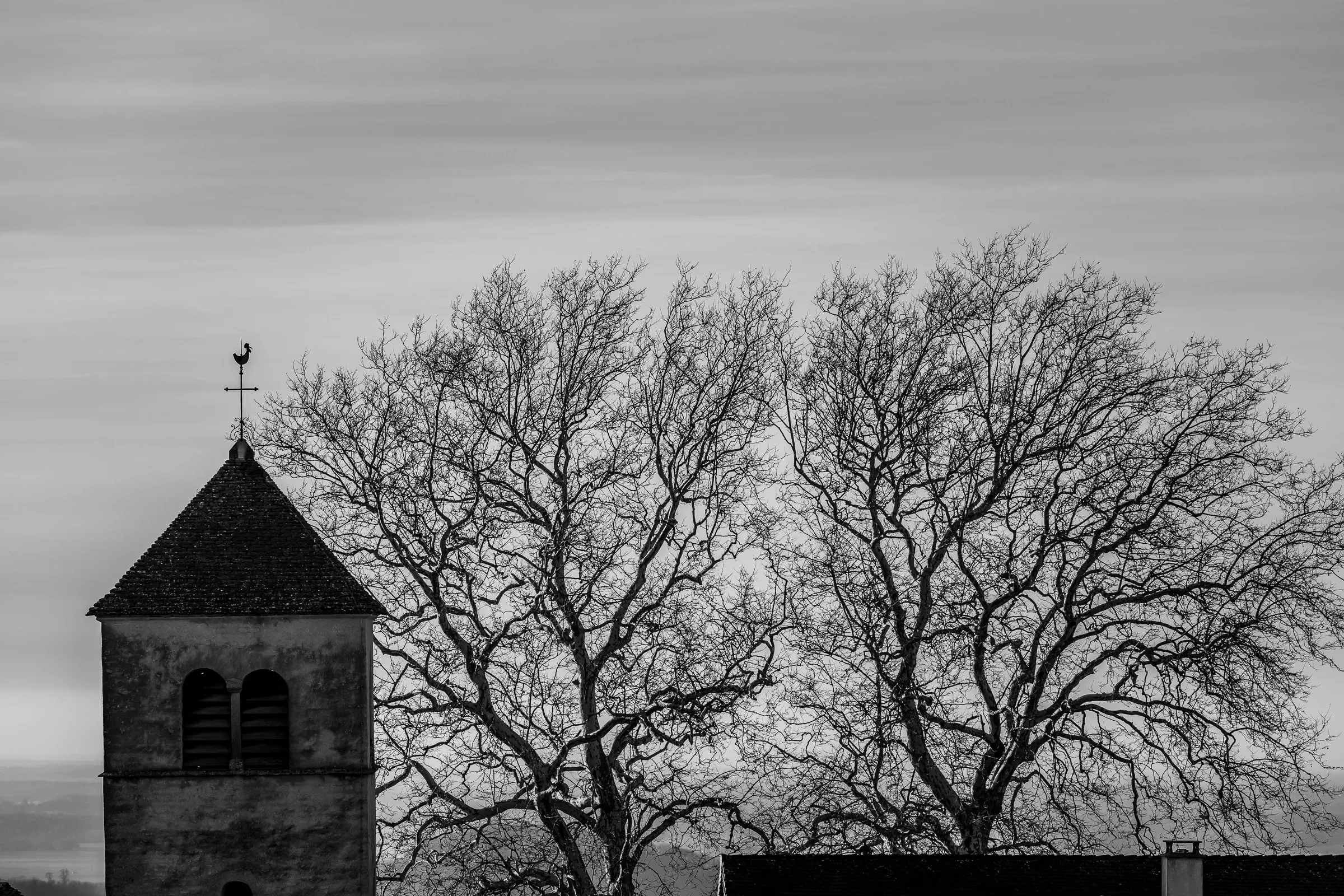 Black and white — a Romanesque church bell tower beside a large bare winter tree against a pale grey sky, Jura