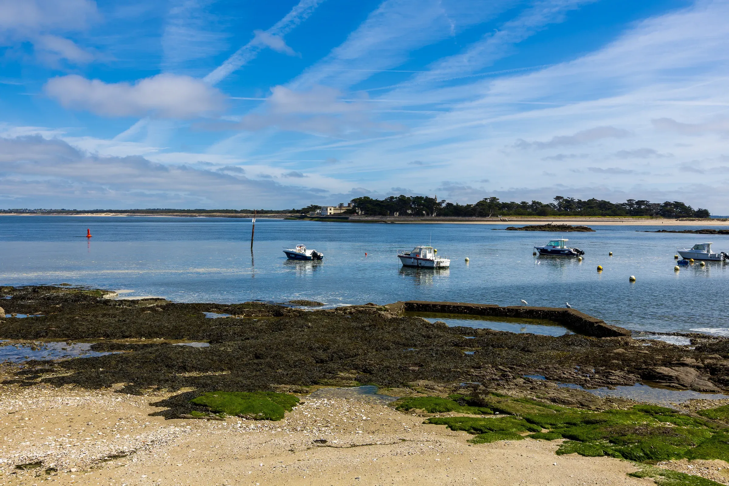 Small harbor at low tide with several moored boats, a wooded island visible in the background, blue sky
