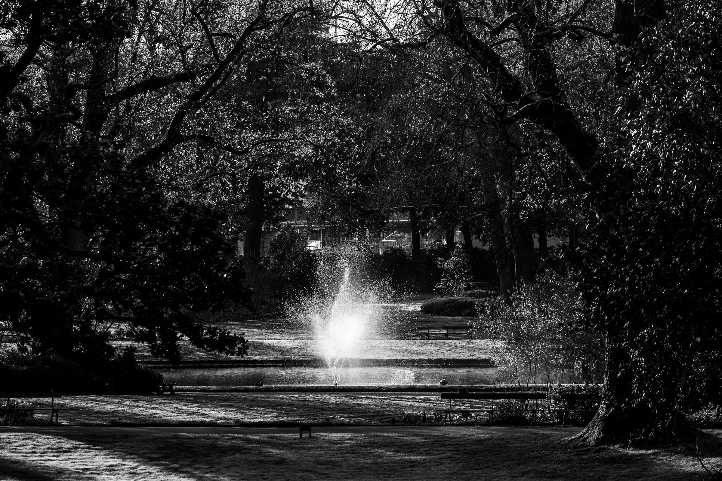 Black and white — the same fountain glowing like a flare, framed by dark tree trunks and deep shadows, Nantes