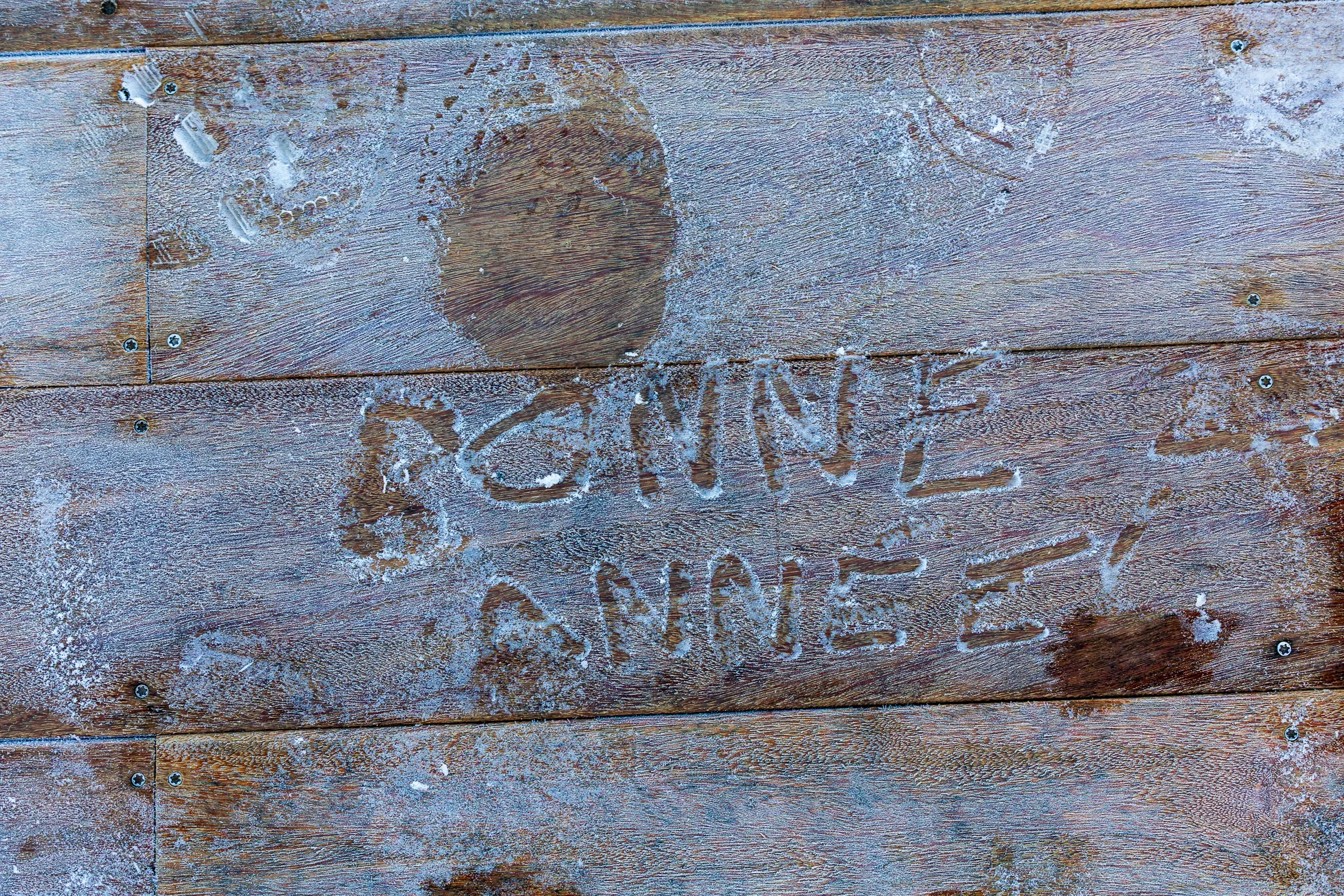 BONNE ANNEE written with a finger in frost on weathered wooden planks