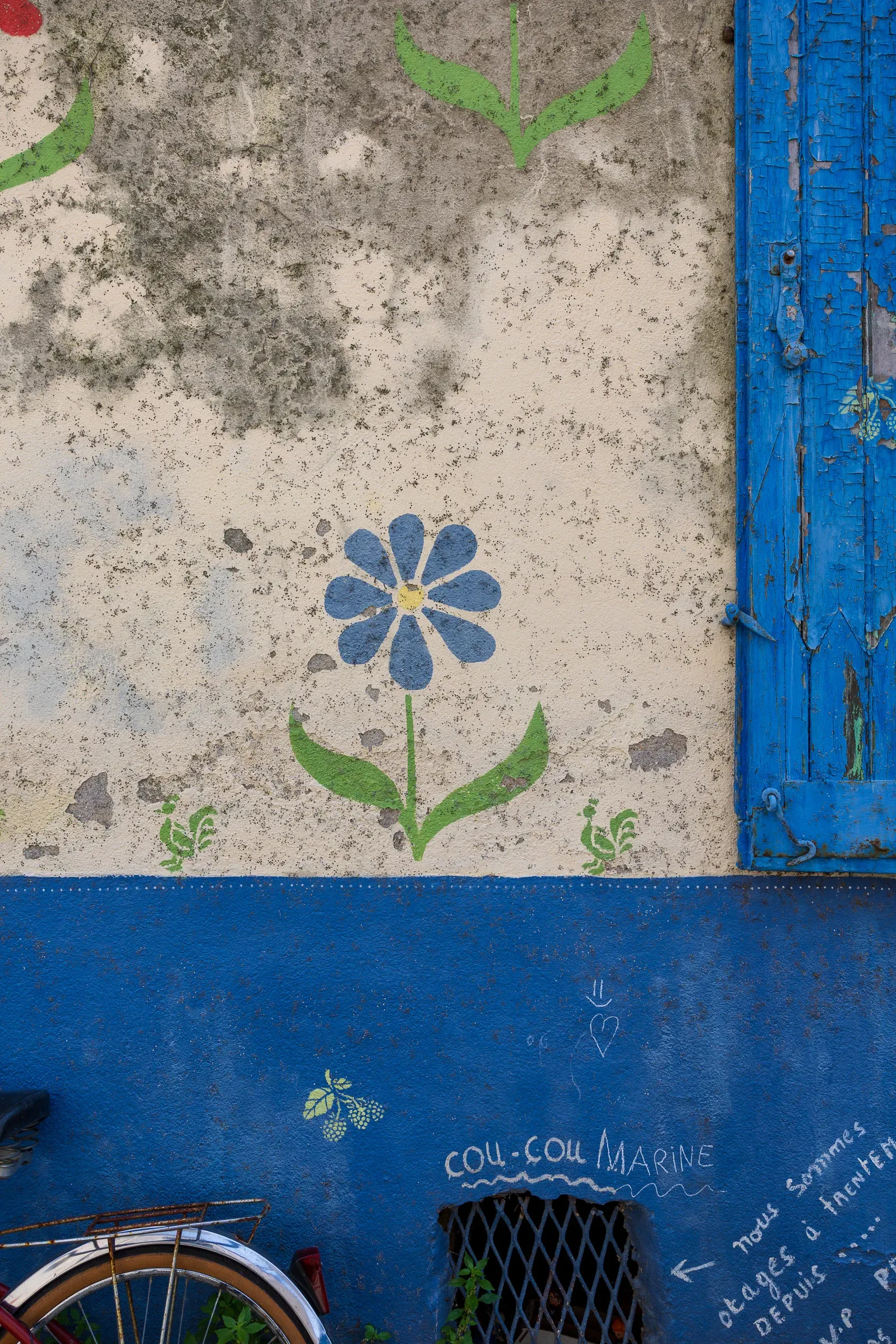 A hand-painted blue flower on a weathered plaster wall beside a blue wooden shutter, COU-COU MARINE written below in yellow