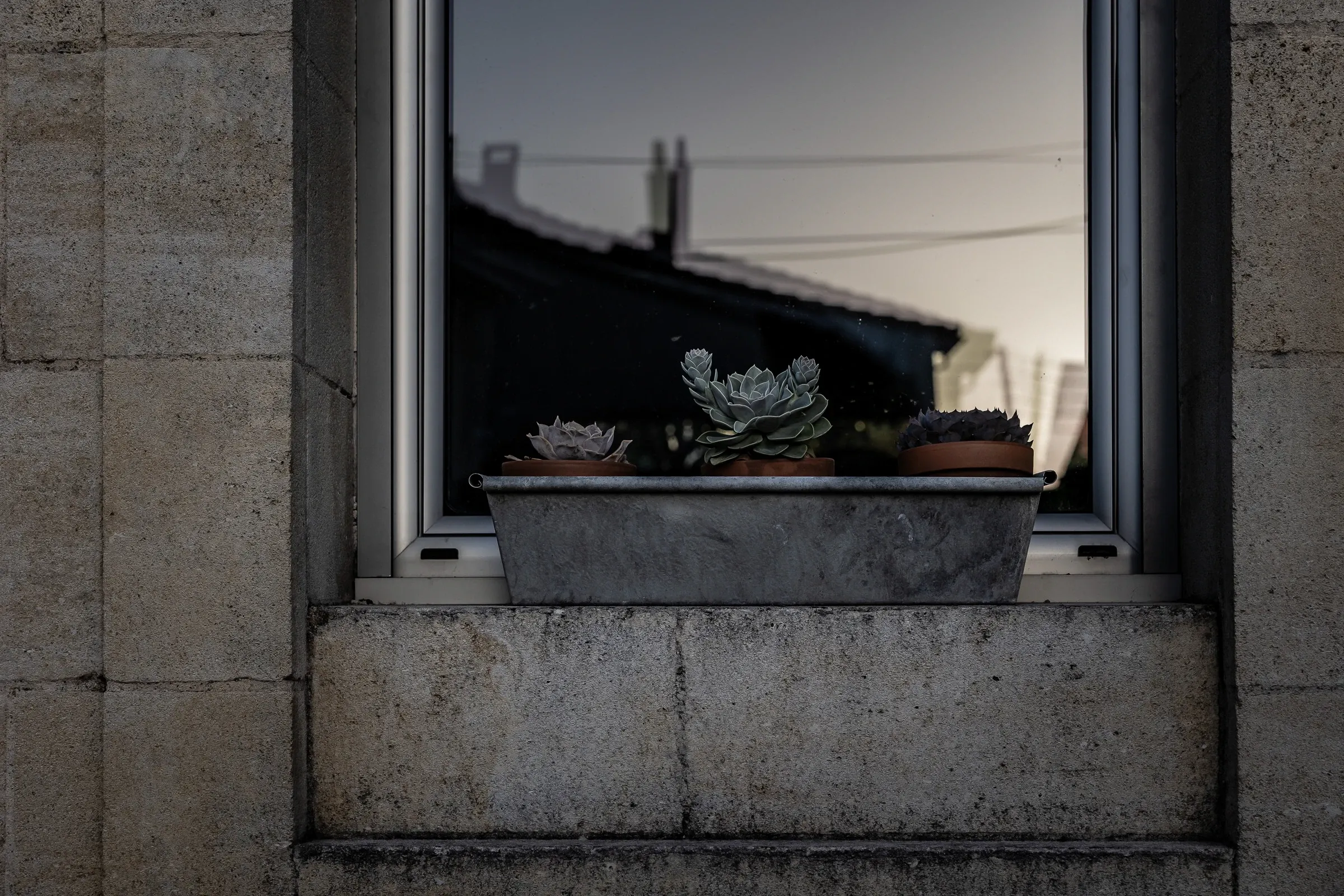 Three small succulents in terracotta pots on a windowsill, dusk sky and rooftops reflected in the glass, Bordeaux