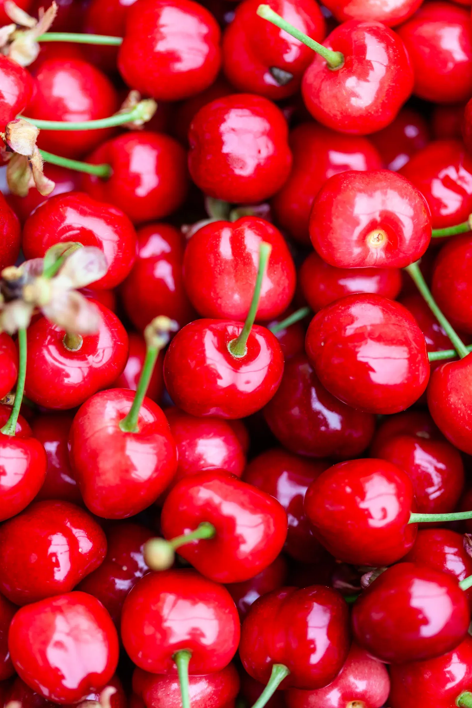 Mass of bright red cherries with green stems filling the entire frame, skin glossy and tight