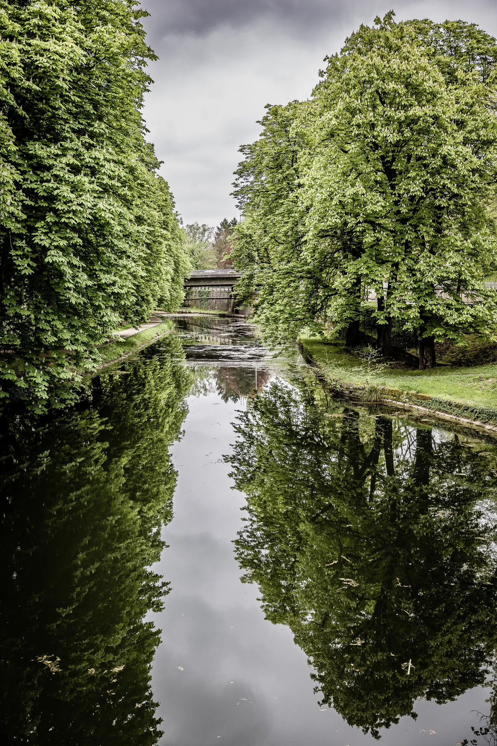 Tree-lined river arm with a perfect canopy reflection in dark still water, a covered wooden bridge at the far end