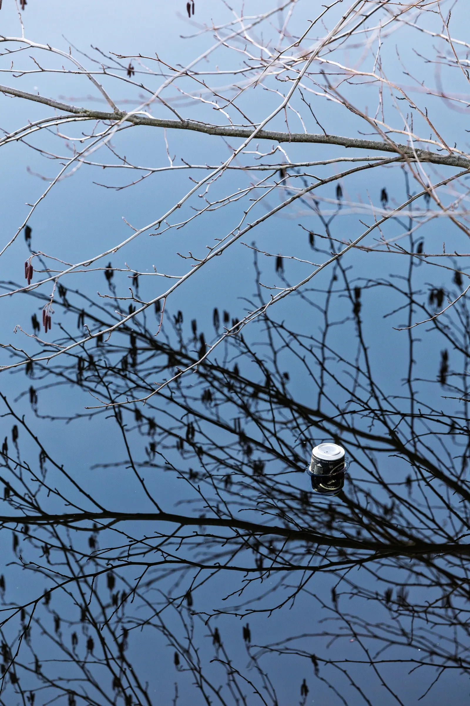 Bare tree branches with catkins reflected in a dark still pond, an old tin can floating among the reflections