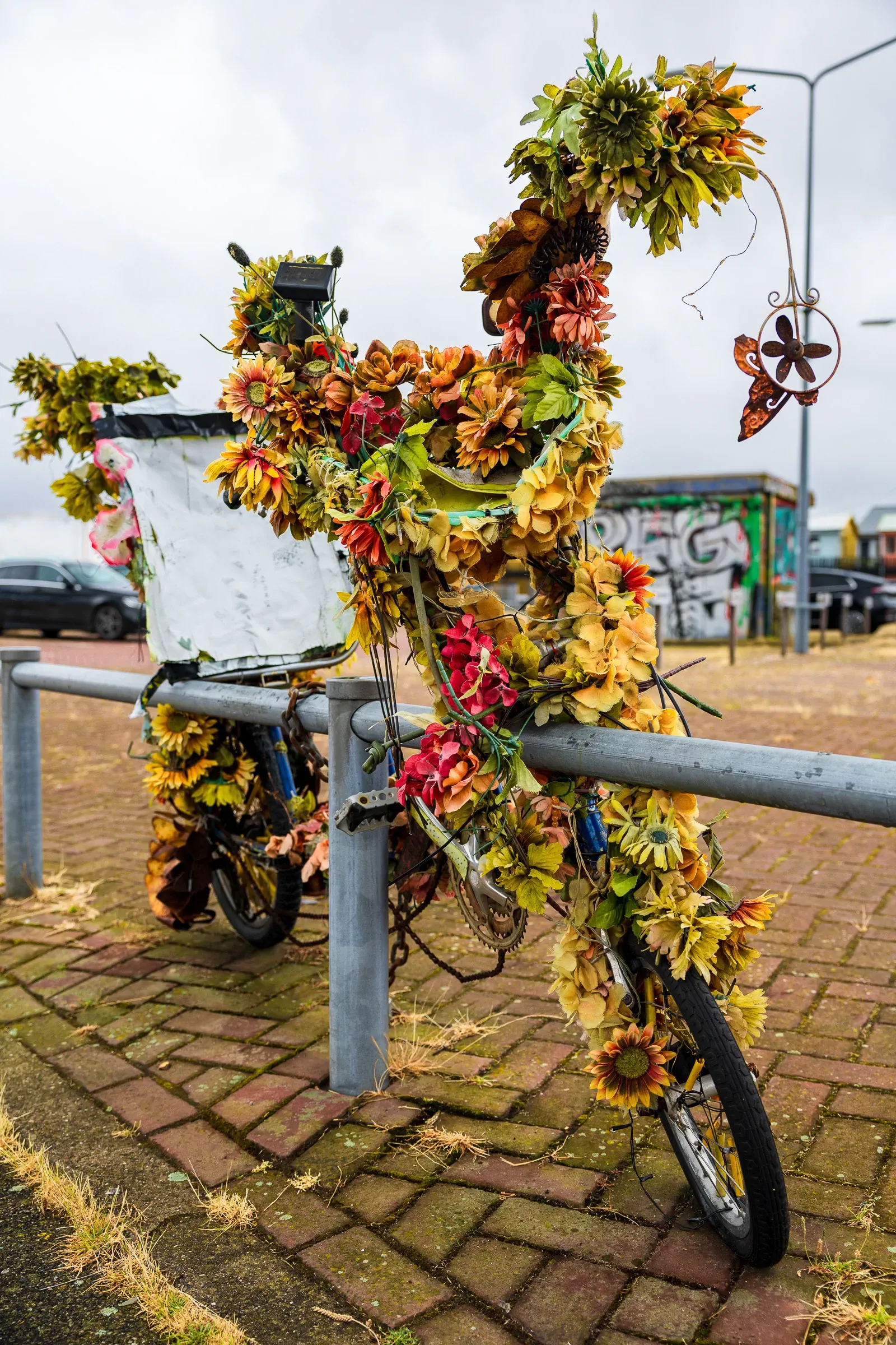 A bike encrusted with dried sunflowers and autumn blooms, chained to a metal barrier, graffiti wall behind, overcast sky
