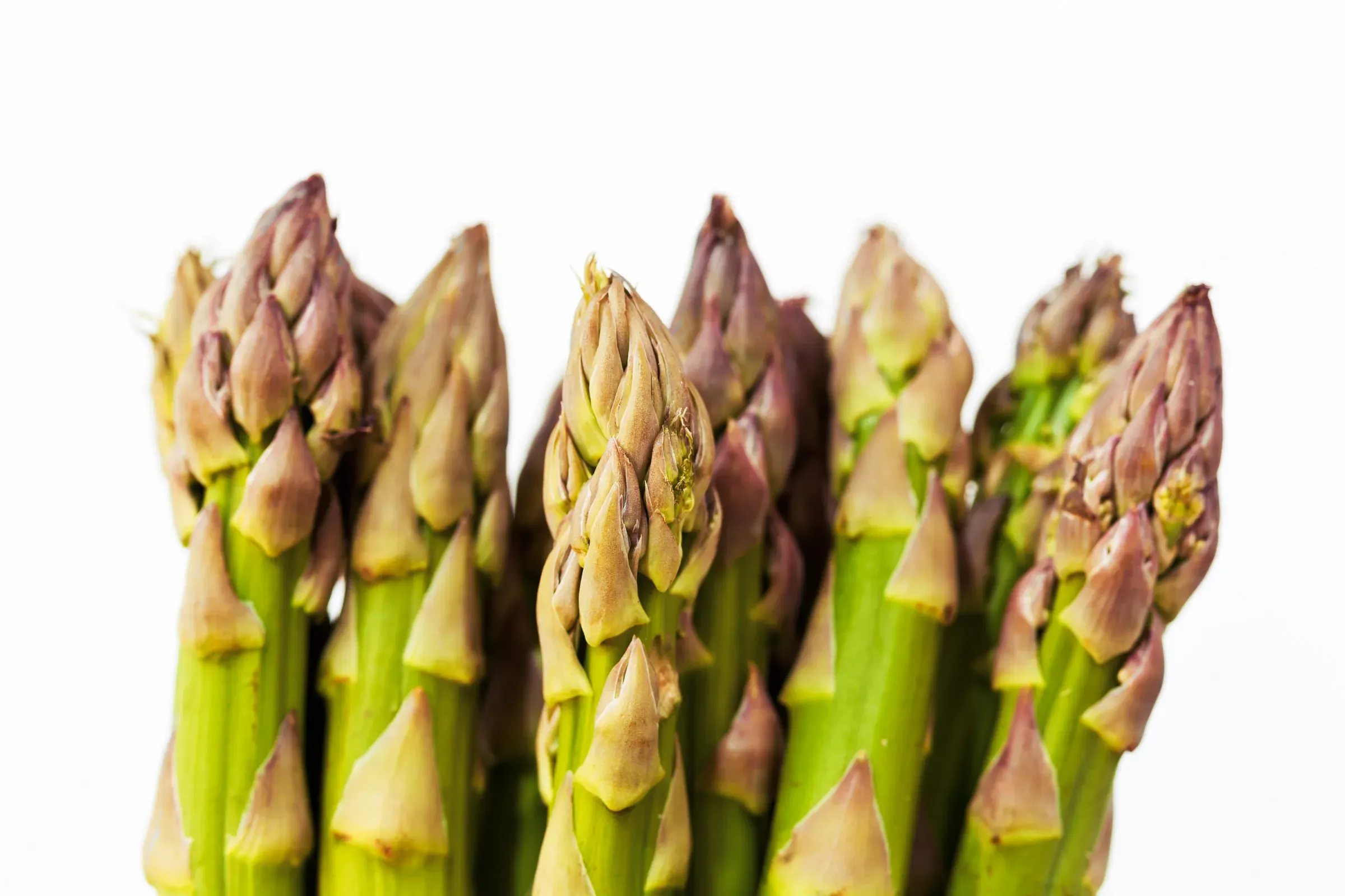 Bundle of green asparagus tips shot close from the front, purple-tinged scales sharp against a clean white background