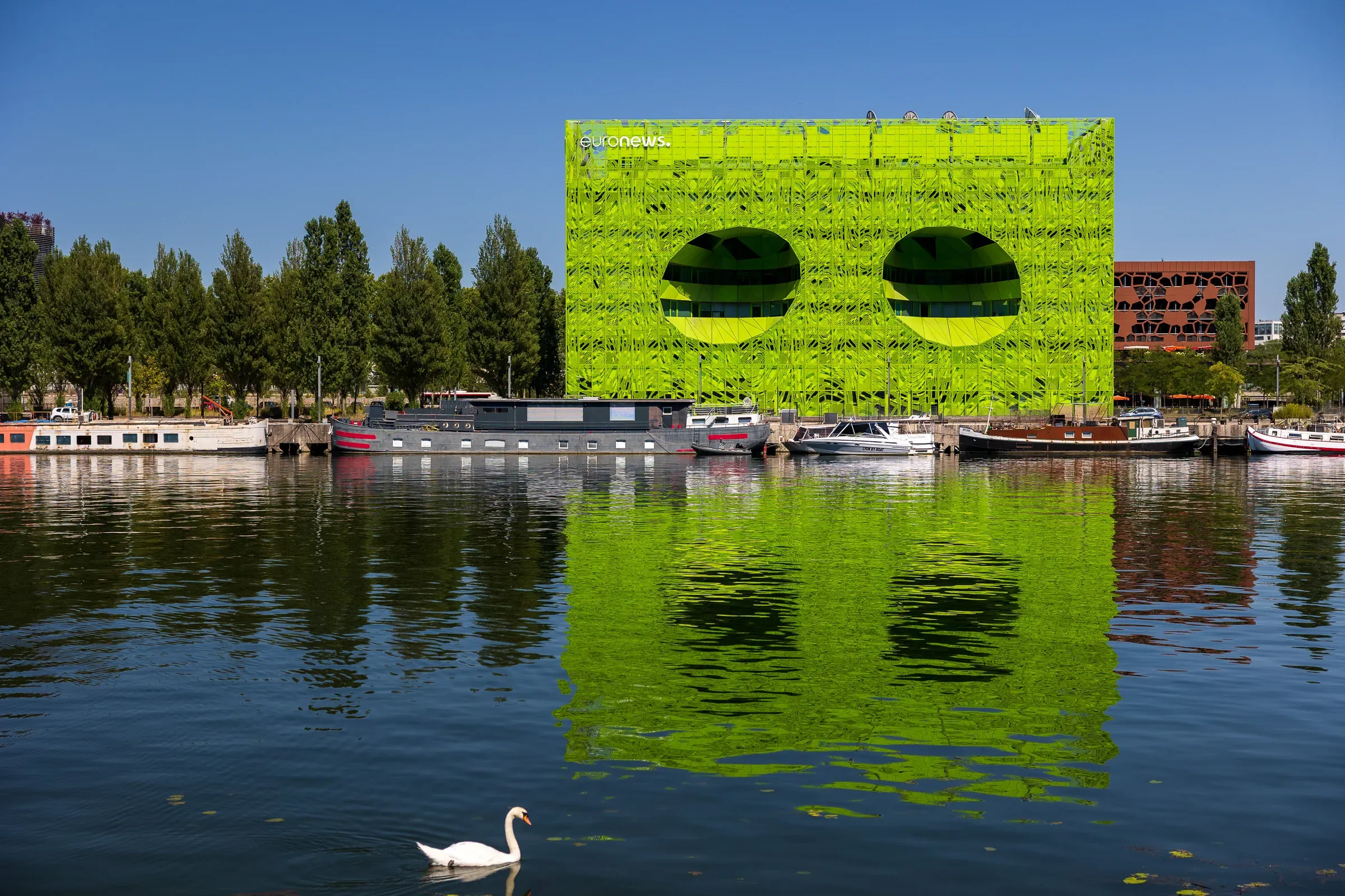 The green Cube building on the Confluence waterfront reflected in the water, with a swan in the foreground, Lyon