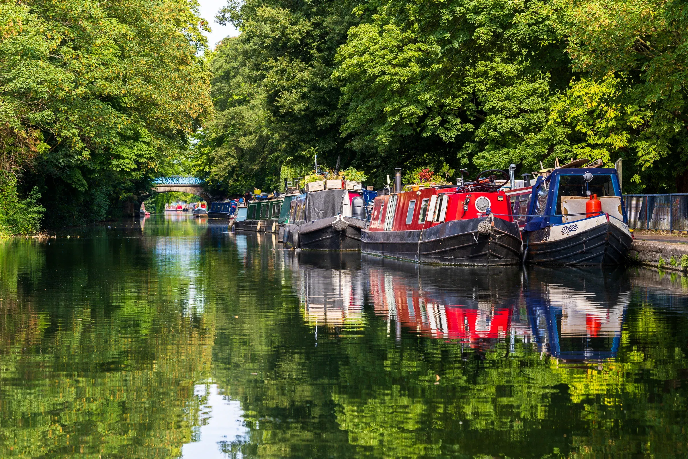 A line of colorful narrowboats moored along a tree-lined stretch of the Regent's Canal, vivid reflections in still water