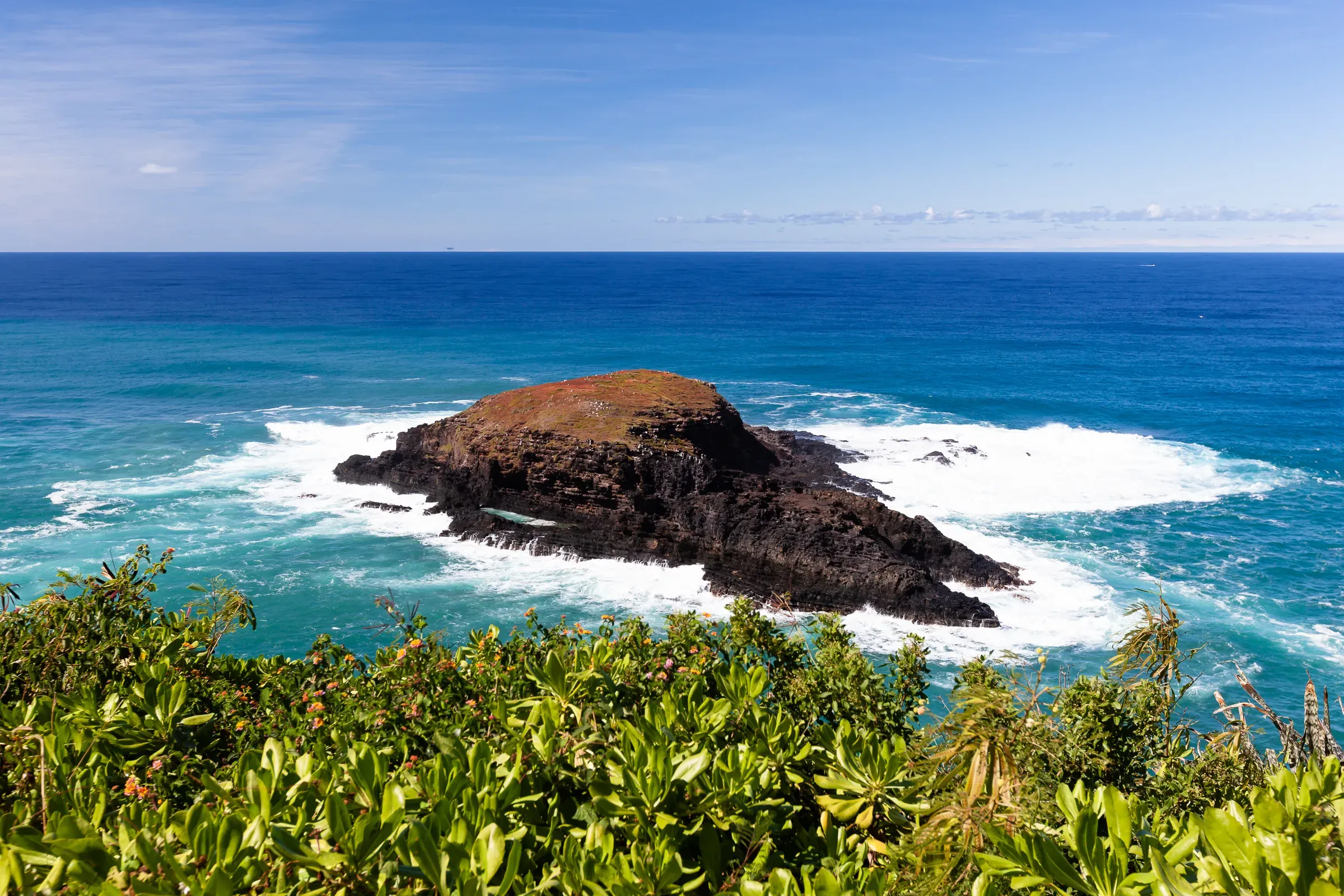 Small volcanic island ringed by surf, Hawaii — viewed from above through coastal vegetation, deep blue ocean stretching to the horizon