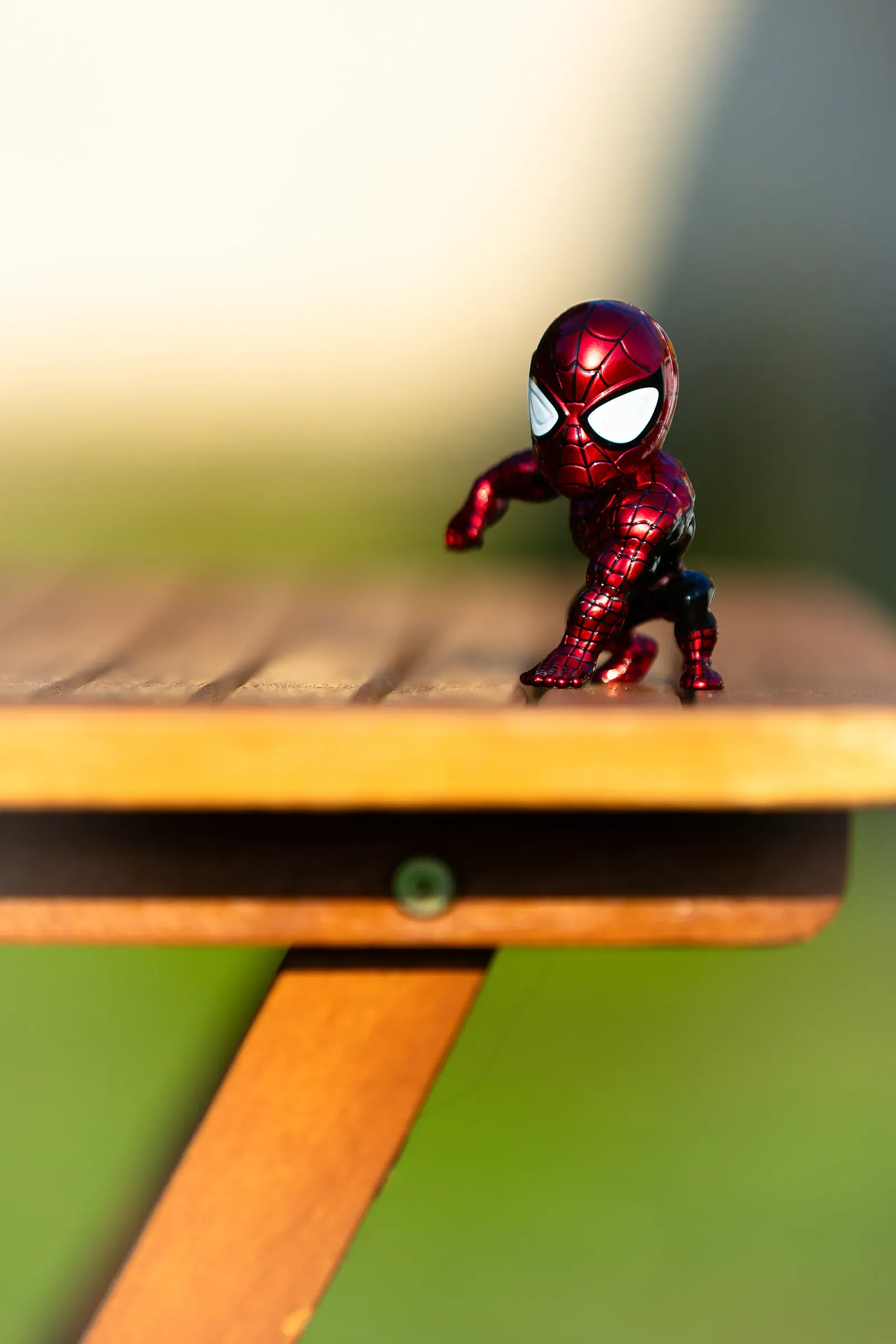 Spiderlush under the sun