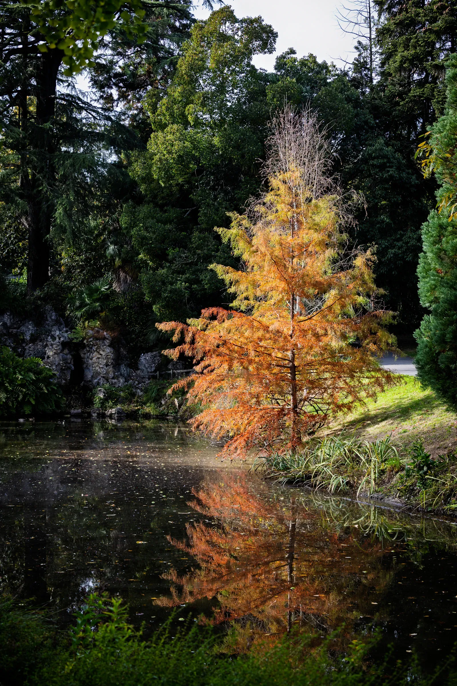 Autumn trees with fiery red and yellow leaves against a pale blue sky