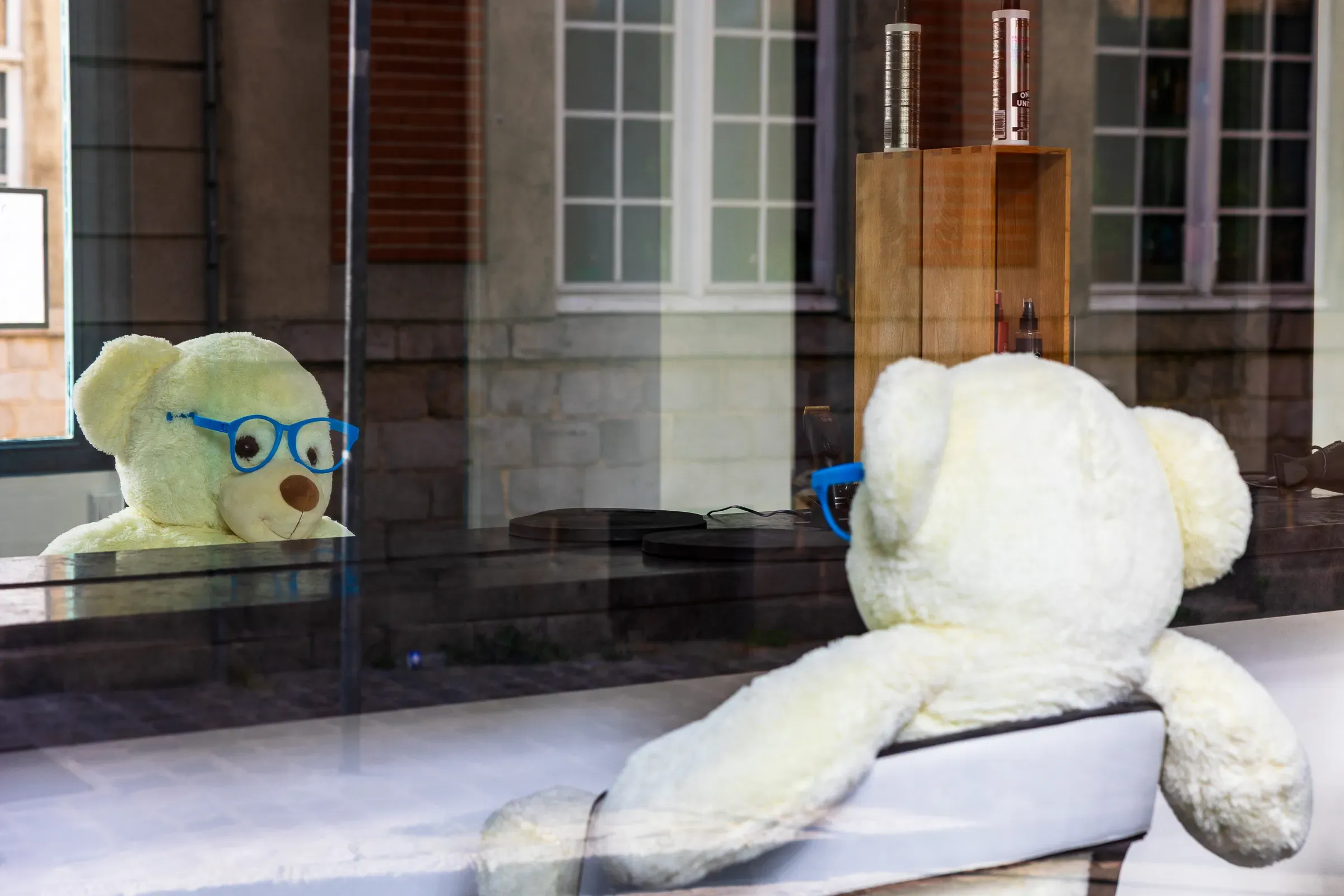 Giant white teddy bear wearing blue glasses reflected in an optician's shop window, Lille