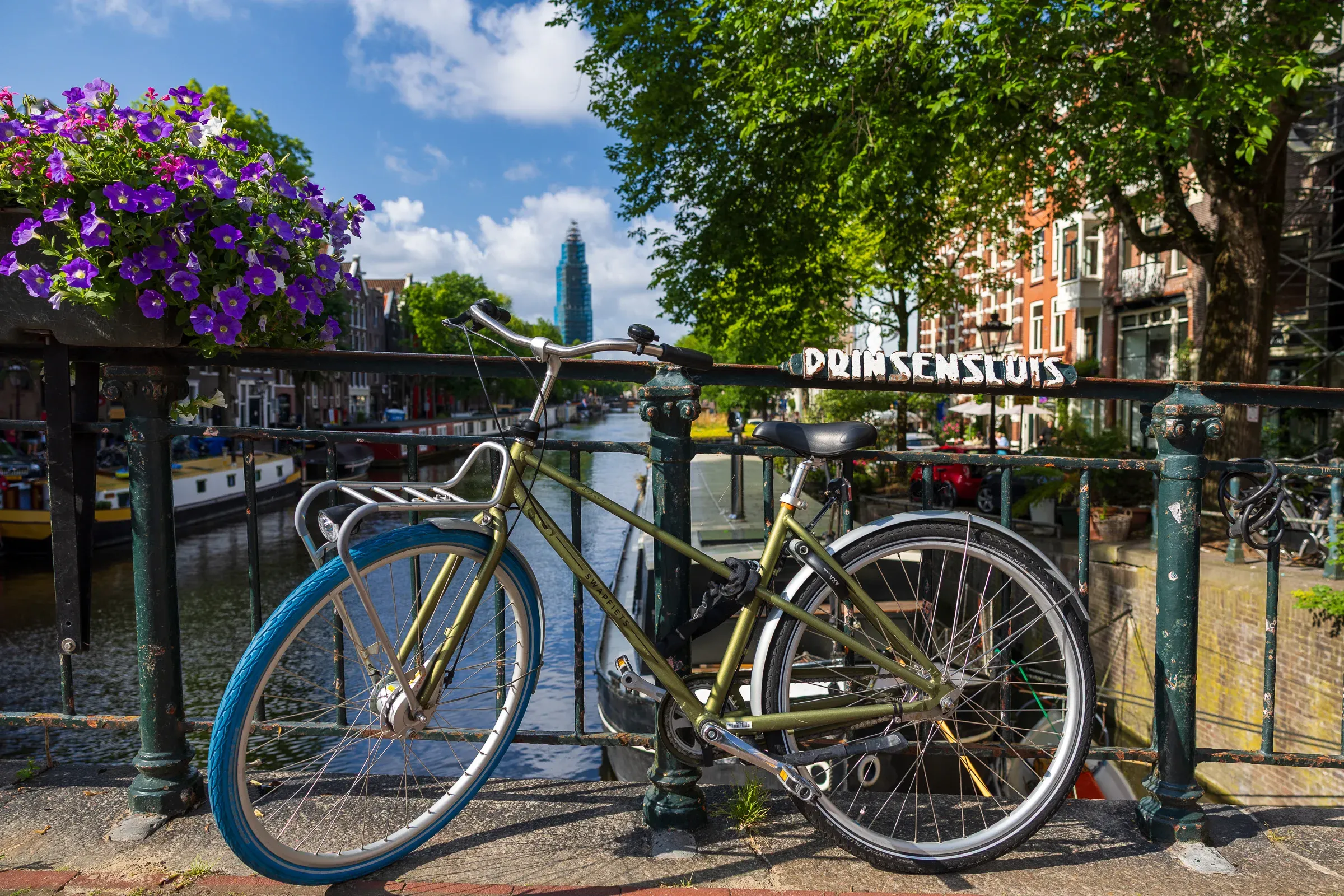 Gold-green bike locked to the Prinsensluis bridge railing, purple petunia flower box above, canal and tower in the background