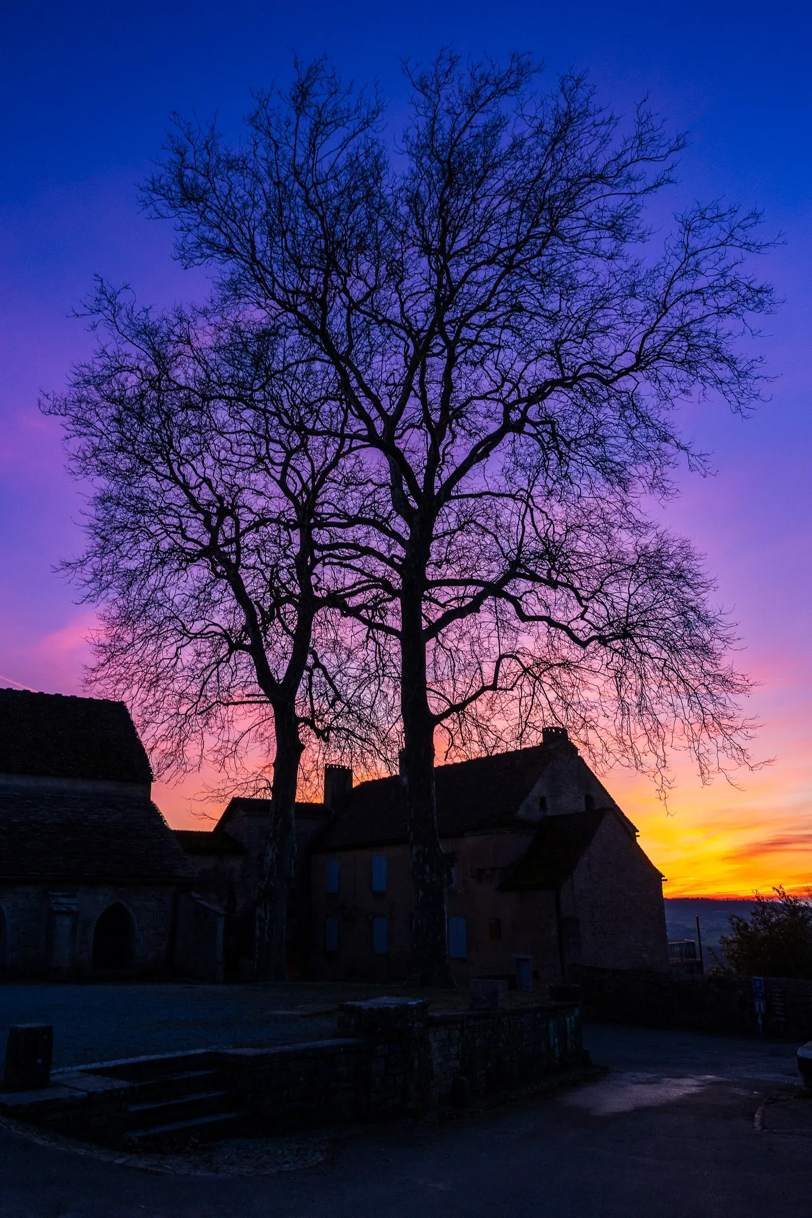 Bare winter tree silhouetted against a vivid purple-pink-orange sunset sky, stone village rooflines below, Jura