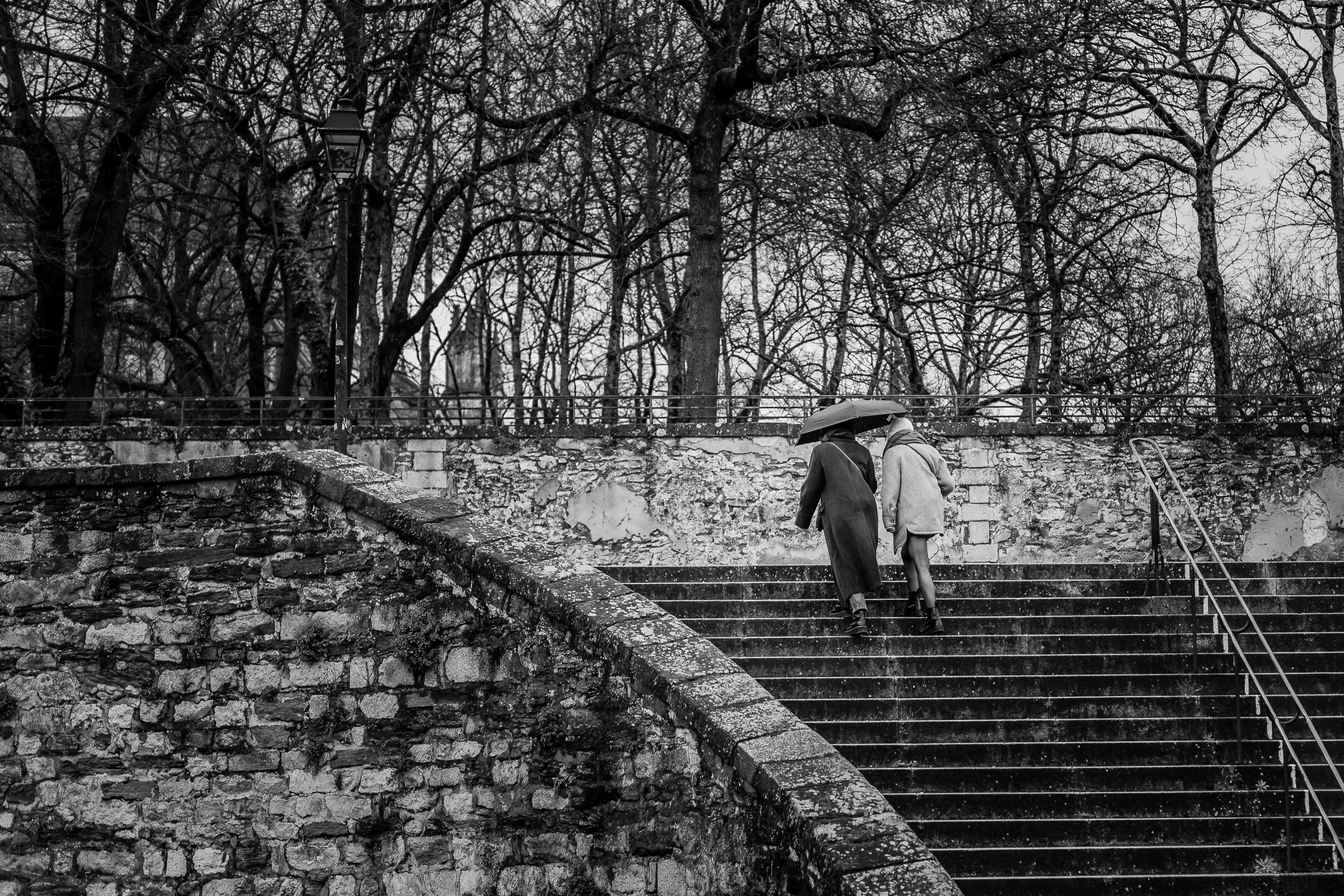 Two people climbing stone steps under one umbrella, bare trees behind a weathered wall