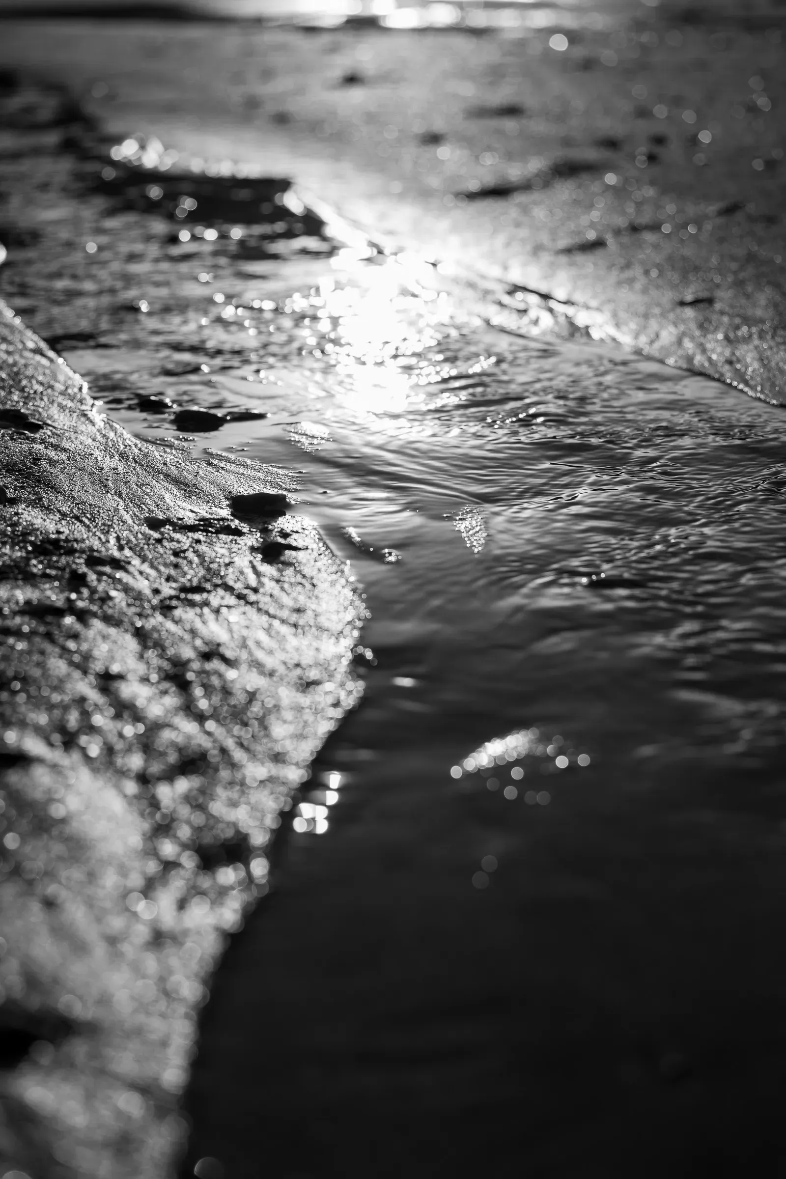 Black and white — sunlight glinting on shallow water lapping over wet rocks at the shoreline, high contrast, Trouville