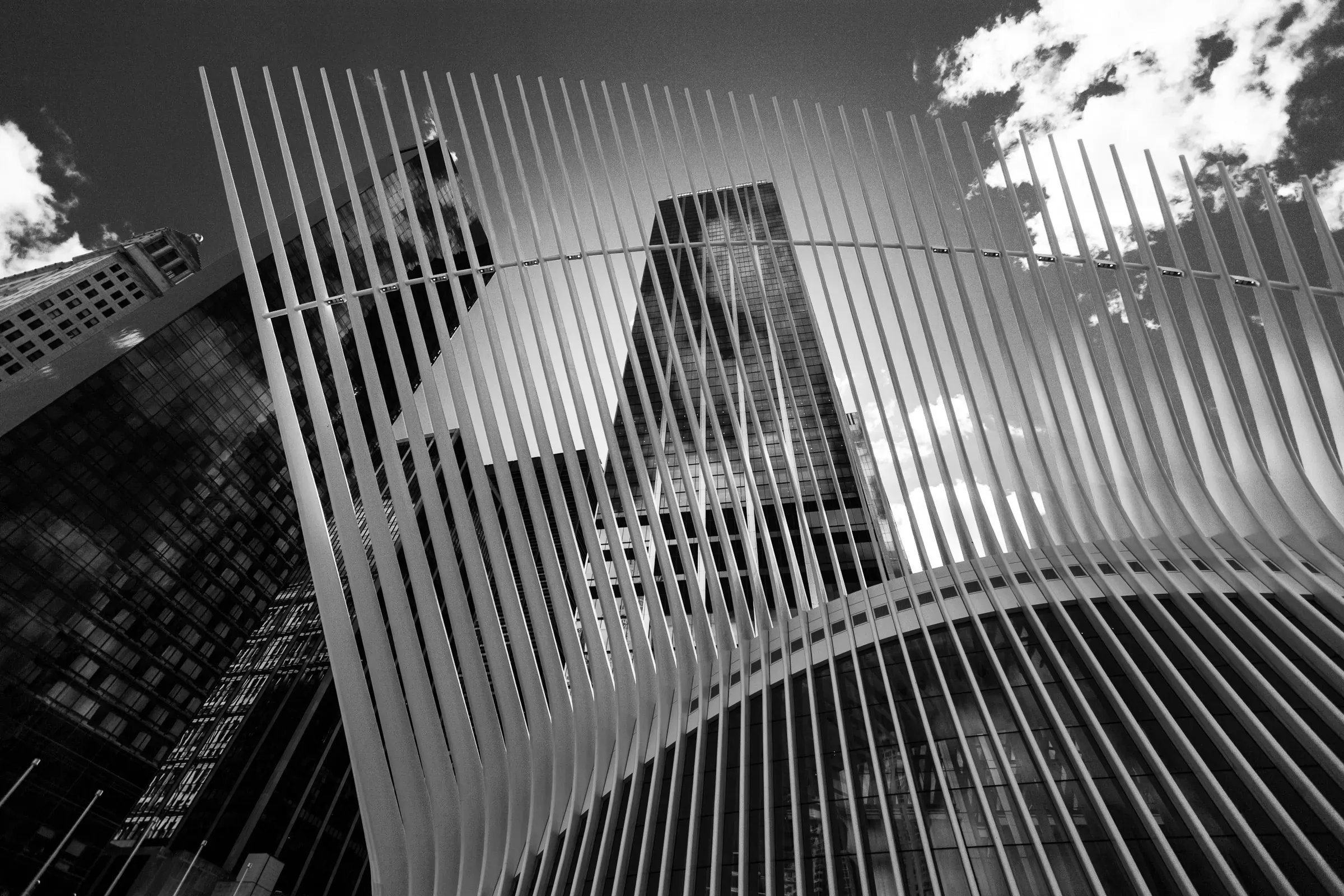 White steel ribs of the Oculus transportation hub at the World Trade Center, lower Manhattan skyscrapers visible between the fins against a cloudy sky