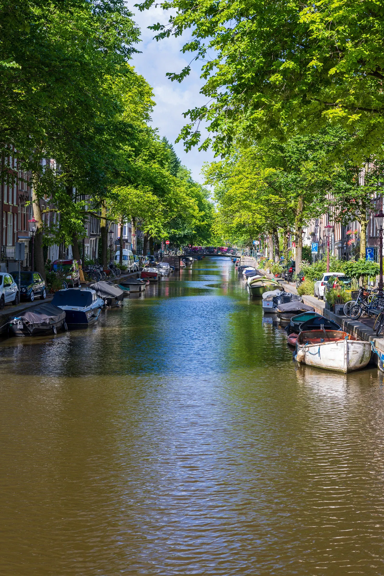 Tree-lined Amsterdam canal stretching into the distance, houseboats and small boats moored on both sides