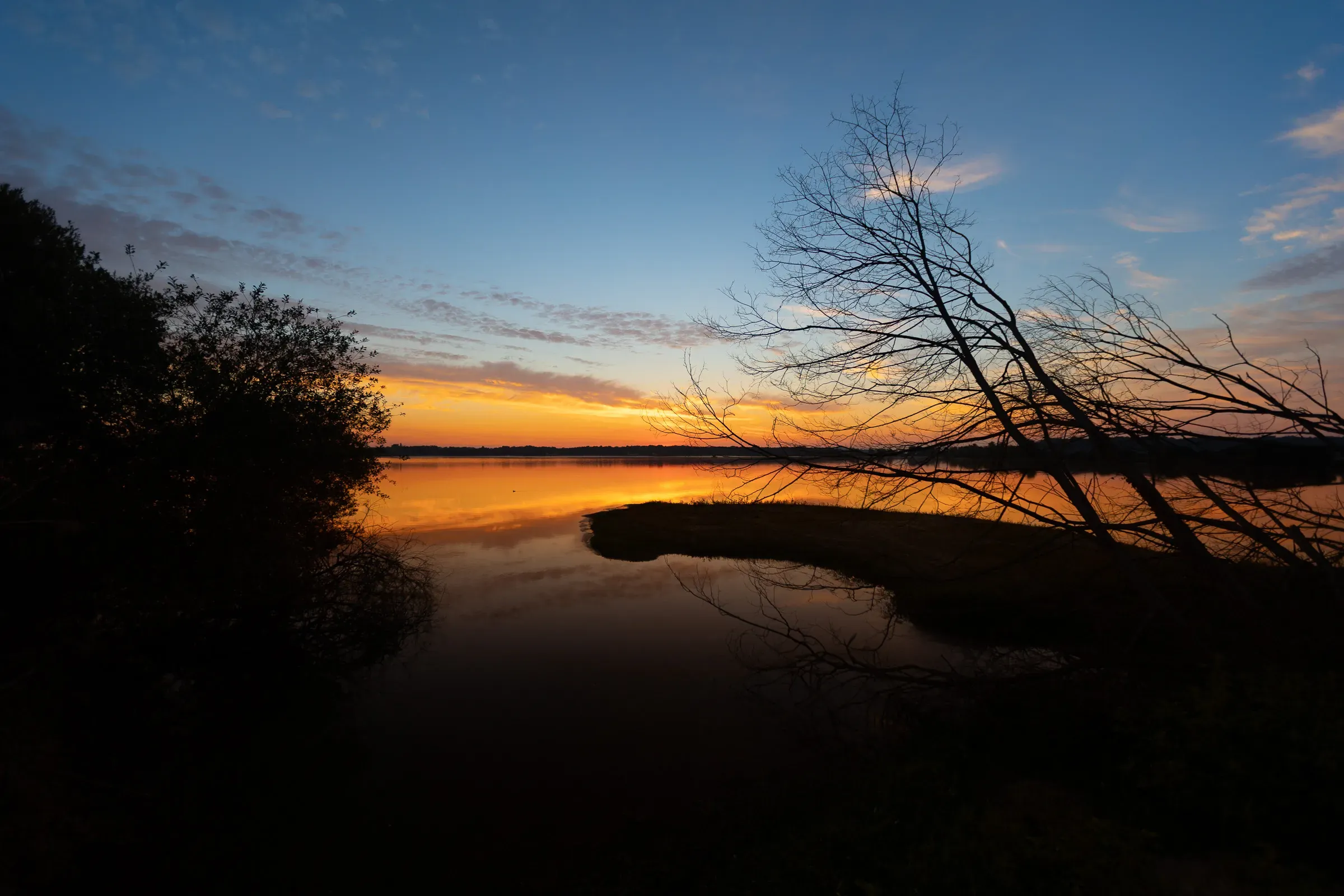 Dusk over Marais d'Orx — orange sky reflected on still water, bare tree silhouettes leaning over the marsh