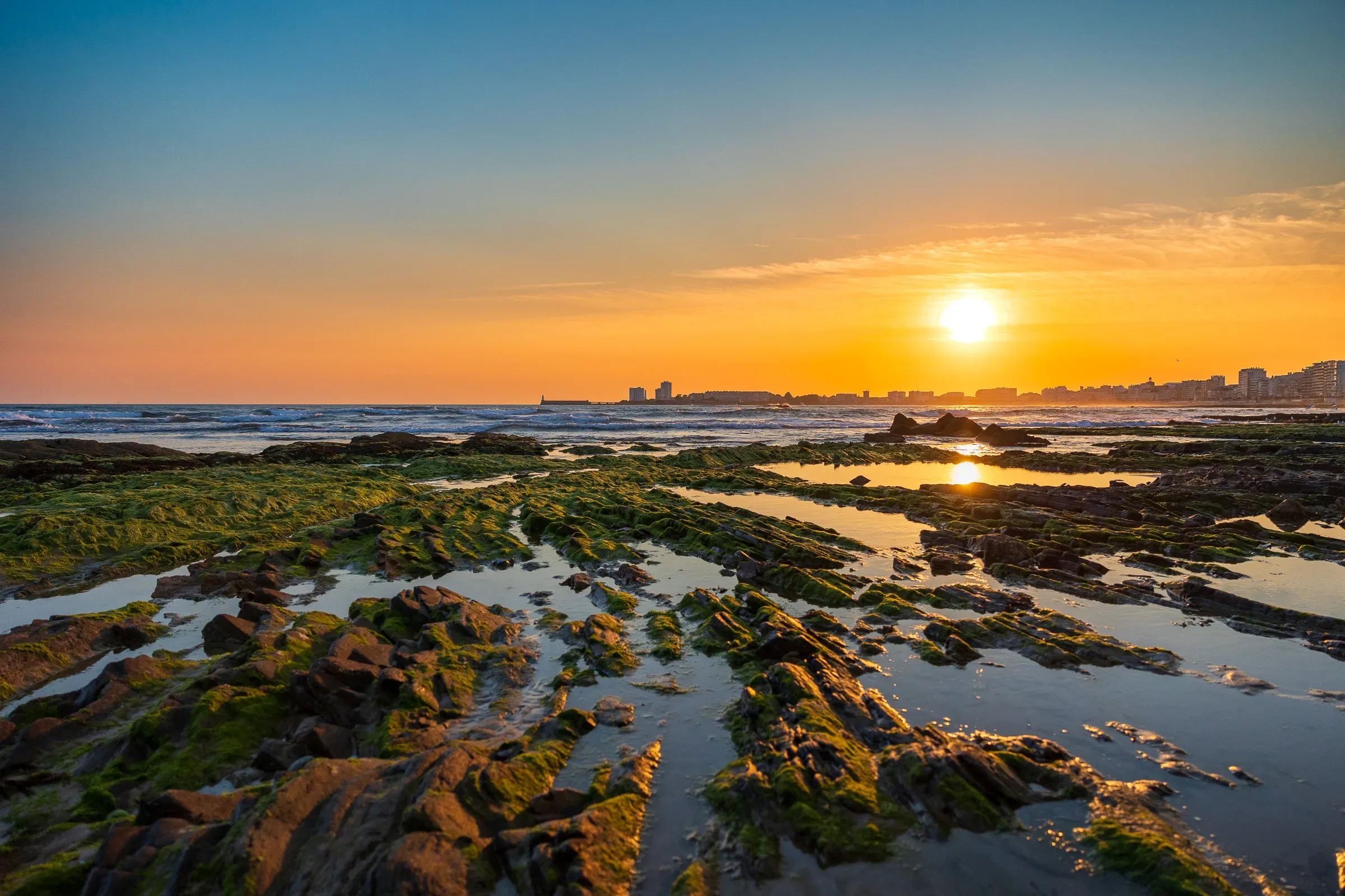 Low tide at sunset, Sables d'Olonne — green algae on exposed rocks, sun on the horizon, city lights beginning behind