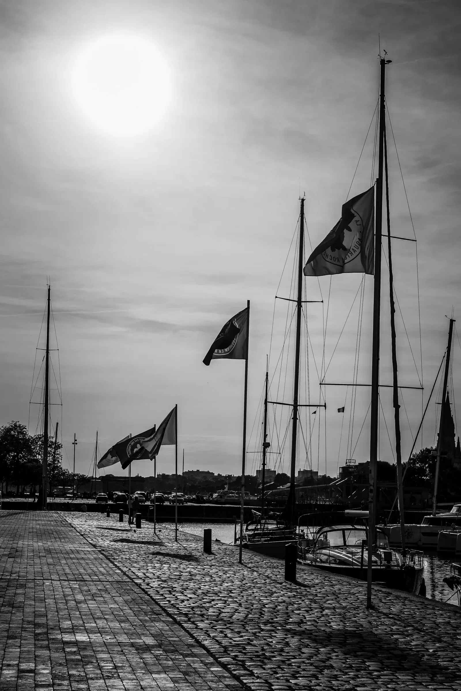 Black and white — cobblestone quayside with a row of flags on masts in contra-jour light, sailboat masts behind, hazy sun low in the frame