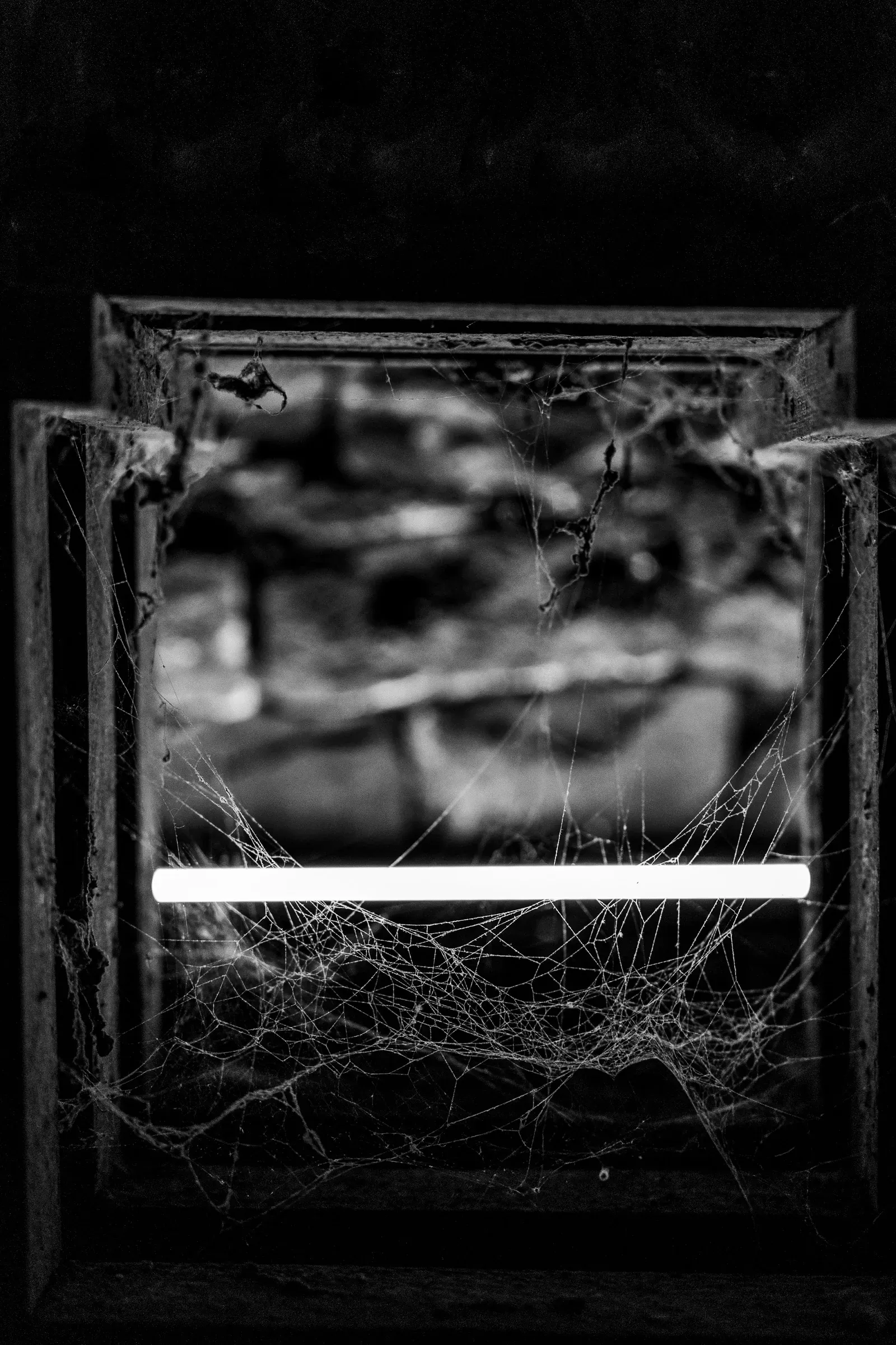 Abandoned wooden window frame covered in thick spider webs, a thin horizontal bar of white light crossing the darkness inside