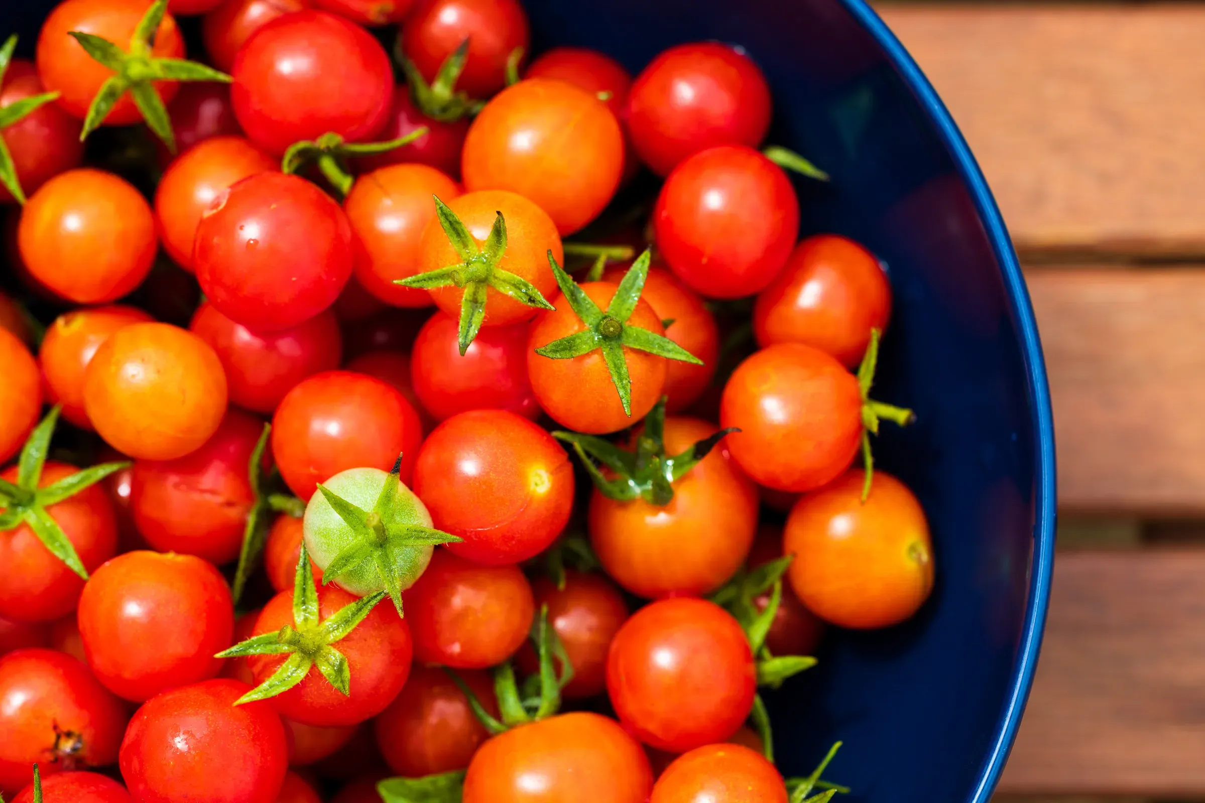 Cherry tomatoes in a blue bowl overhead, red and orange, green calyxes still on, wooden slat surface beneath