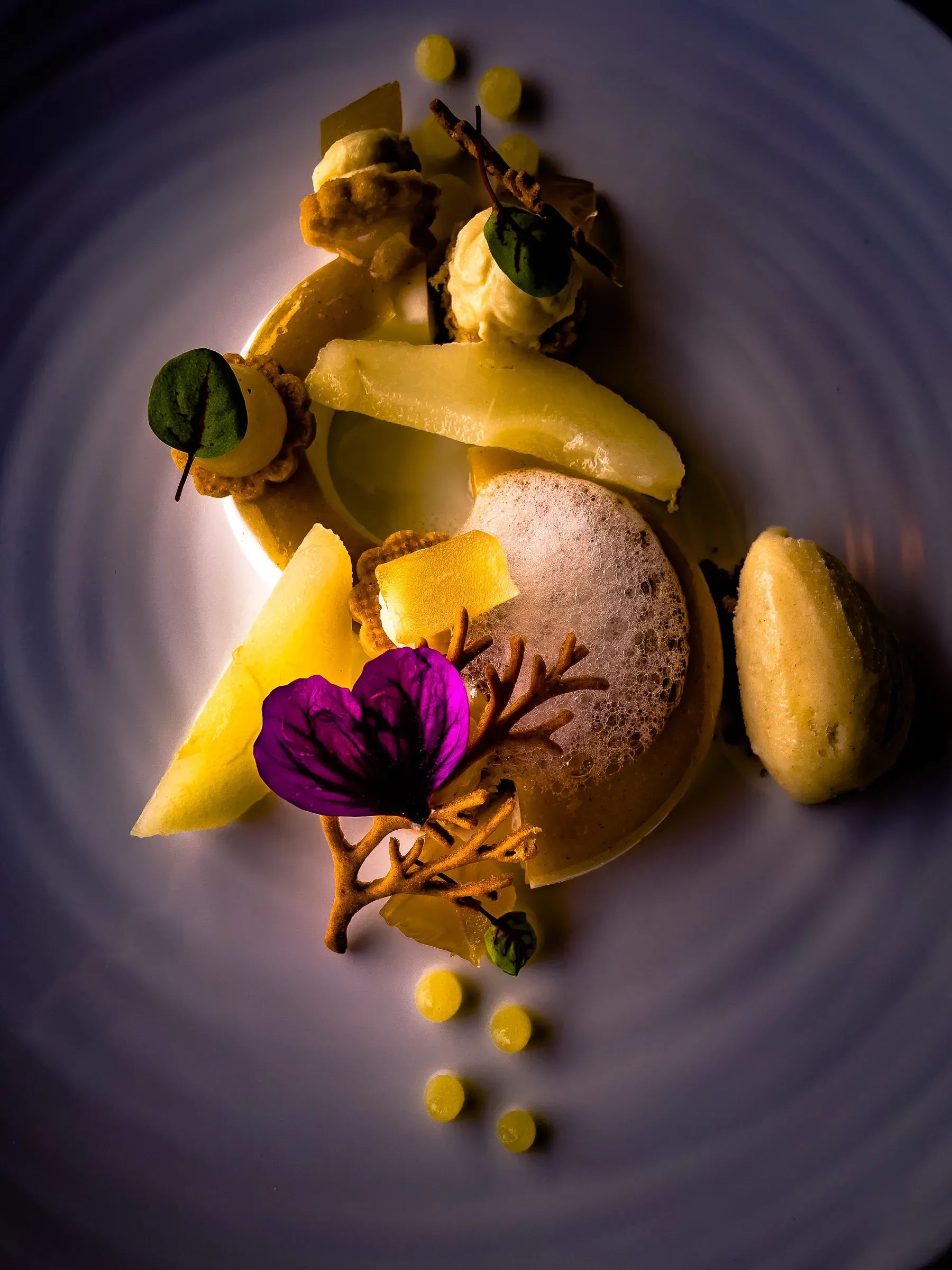 Fine dining dessert plate — pineapple textures, a violet flower, quenelle, chocolate tuiles and dots on a dark plate, dramatic directional light
