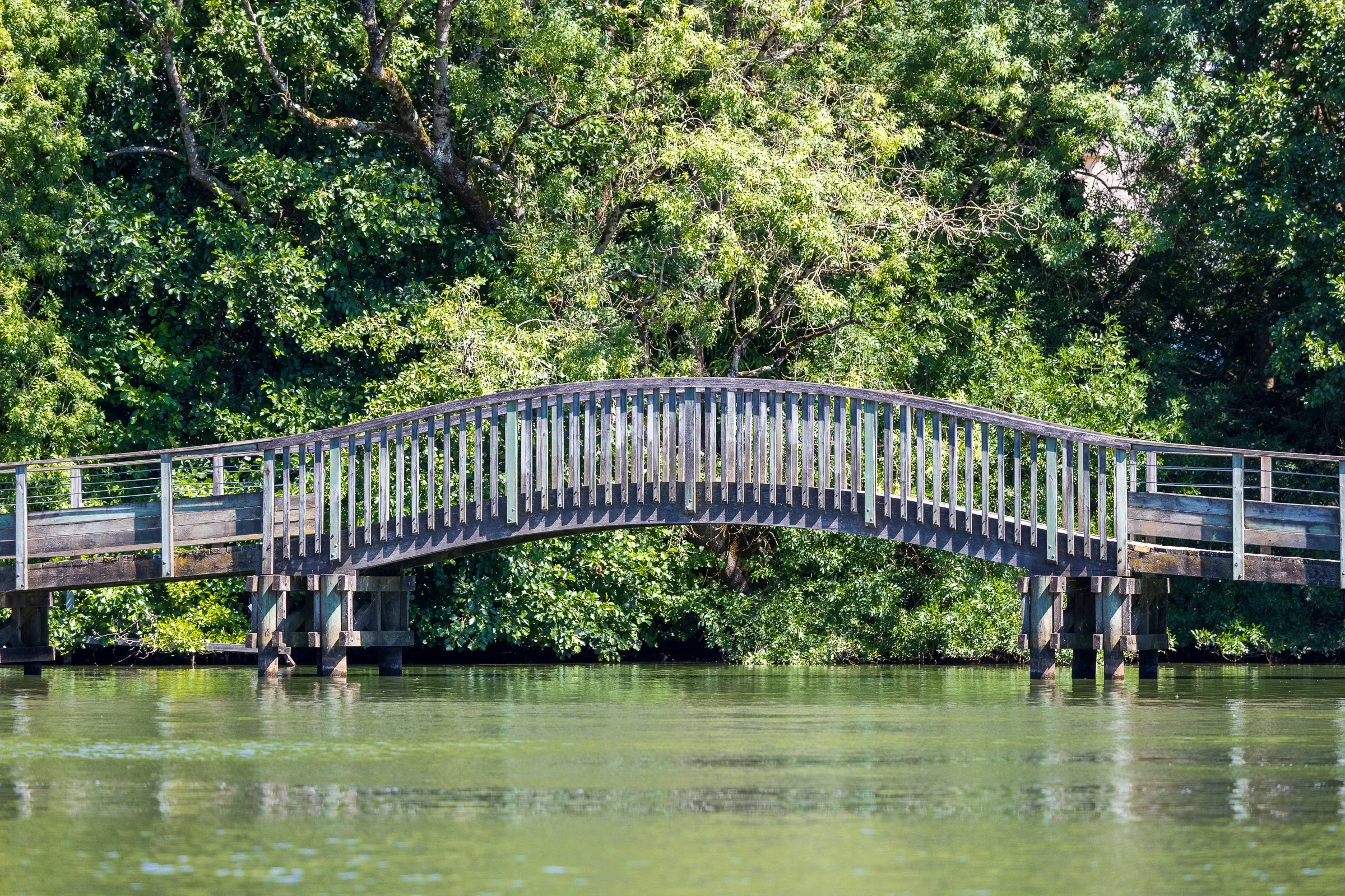 Wooden bridge on a river