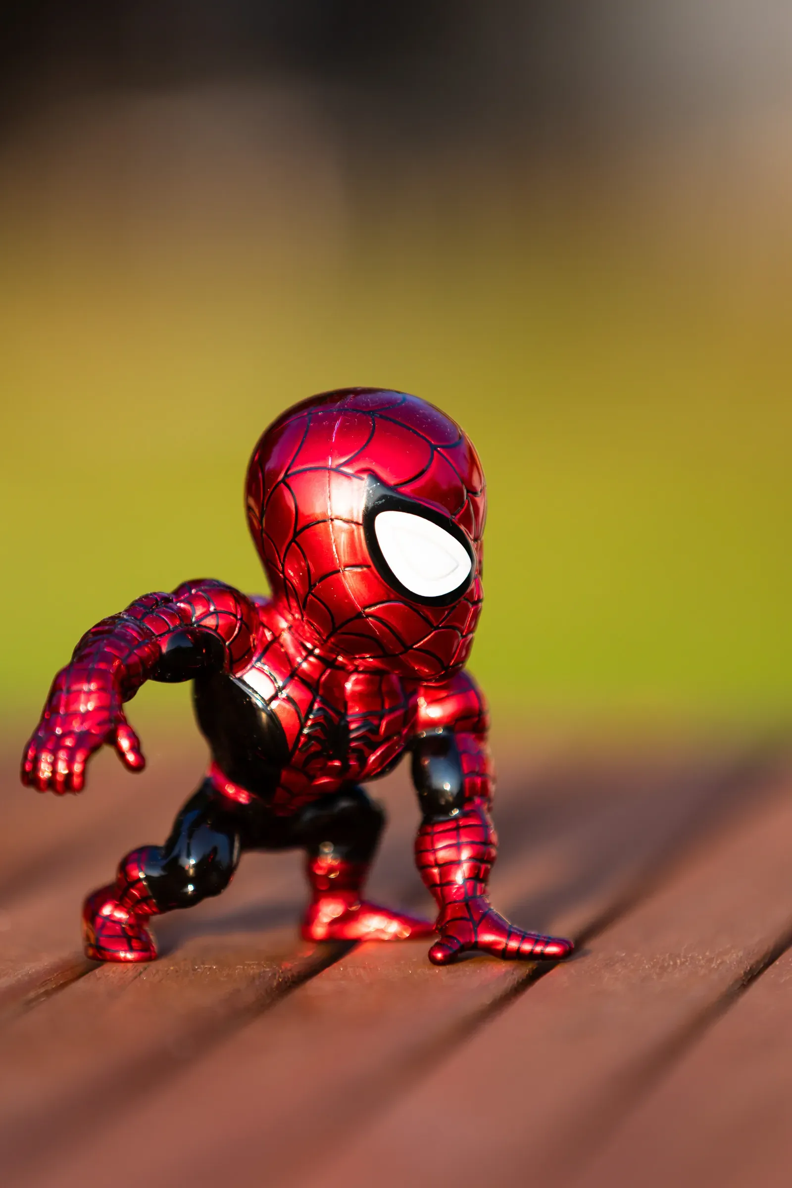 Spiderlush taking a sunbath